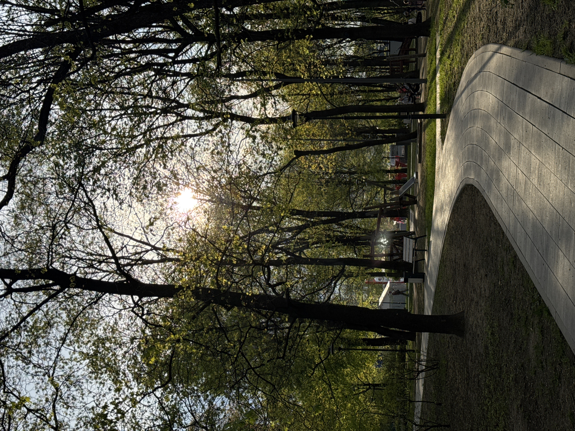 The image depicts a park scene, possibly in Moscow, Russia, given the architecture and environment. A paved pathway curves through the park, lined with grass and trees. The trees, with their branches reaching toward the sky, create a canopy effect, filtering the sunlight. The sun is visible, creating a bright glare. Benches are placed along the pathway. The environment suggests a recreational space within a city.