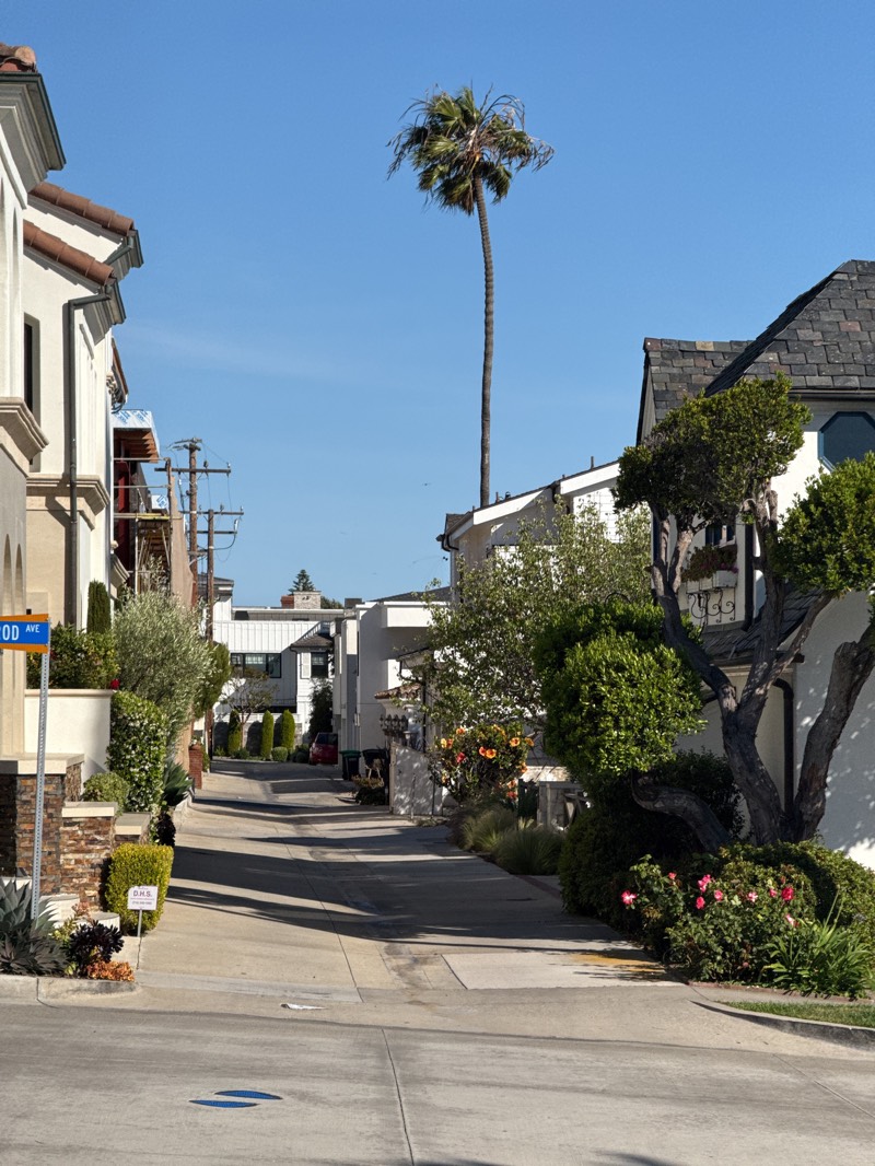 This is an outdoor shot of a residential street scene in Newport Beach, United States. The street is paved with concrete and slopes slightly uphill. On either side, there are houses of varying designs, many with white walls and dark-colored roofs. The architectural styles suggest a mix of contemporary and Mediterranean influences. Lush greenery and meticulously maintained landscaping, including trees, shrubs, and flower beds, adorn the front of the houses. A towering palm tree rises above the rooftops, silhouetted against a clear blue sky. A street sign labeled "Pelwood Ave" is visible at the corner of an intersection in the foreground. A few cars are parked further up the street. The overall atmosphere is tranquil and picturesque, typical of a suburban neighborhood.