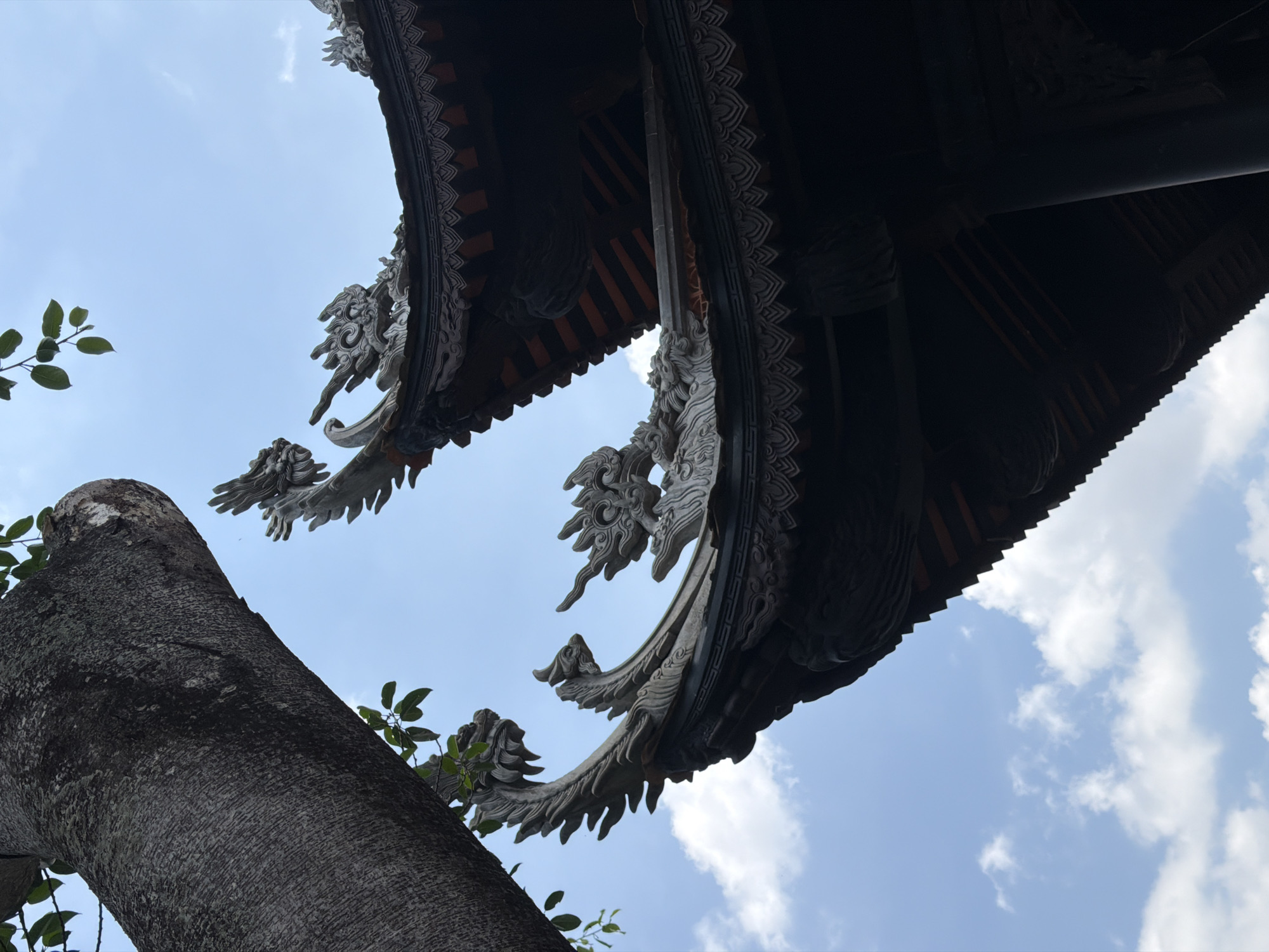 This low-angle shot in Tay Nha Trang Ward, Vietnam, features a gray tree trunk on the left and a dark, ornate building overhang in the upper right. The sky, light blue with scattered white clouds, fills most of the frame. Intricate carvings adorn the building's edges, including dragon-like figures. Green leaves peek out from behind the tree trunk.