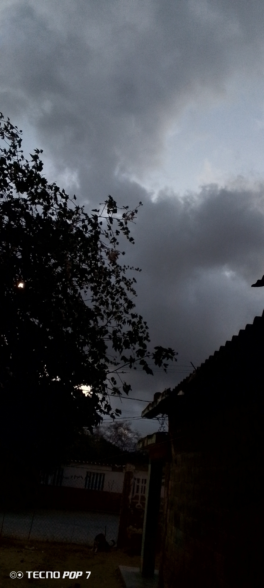 The photo, taken with a TECNO POP 7 phone, presents a low-light scene in Altagracia, Venezuela. Overcast skies fill the upper portion of the frame. A silhouetted tree occupies the left side, its branches extending towards the center. The dark outline of a building with a corrugated roof is visible on the right. Below, a dimly lit yard area is discernable, with hints of a fence and another building in the background. A dog-like silhouette is sitting on the yard. The overall impression is of a gloomy, overcast evening.