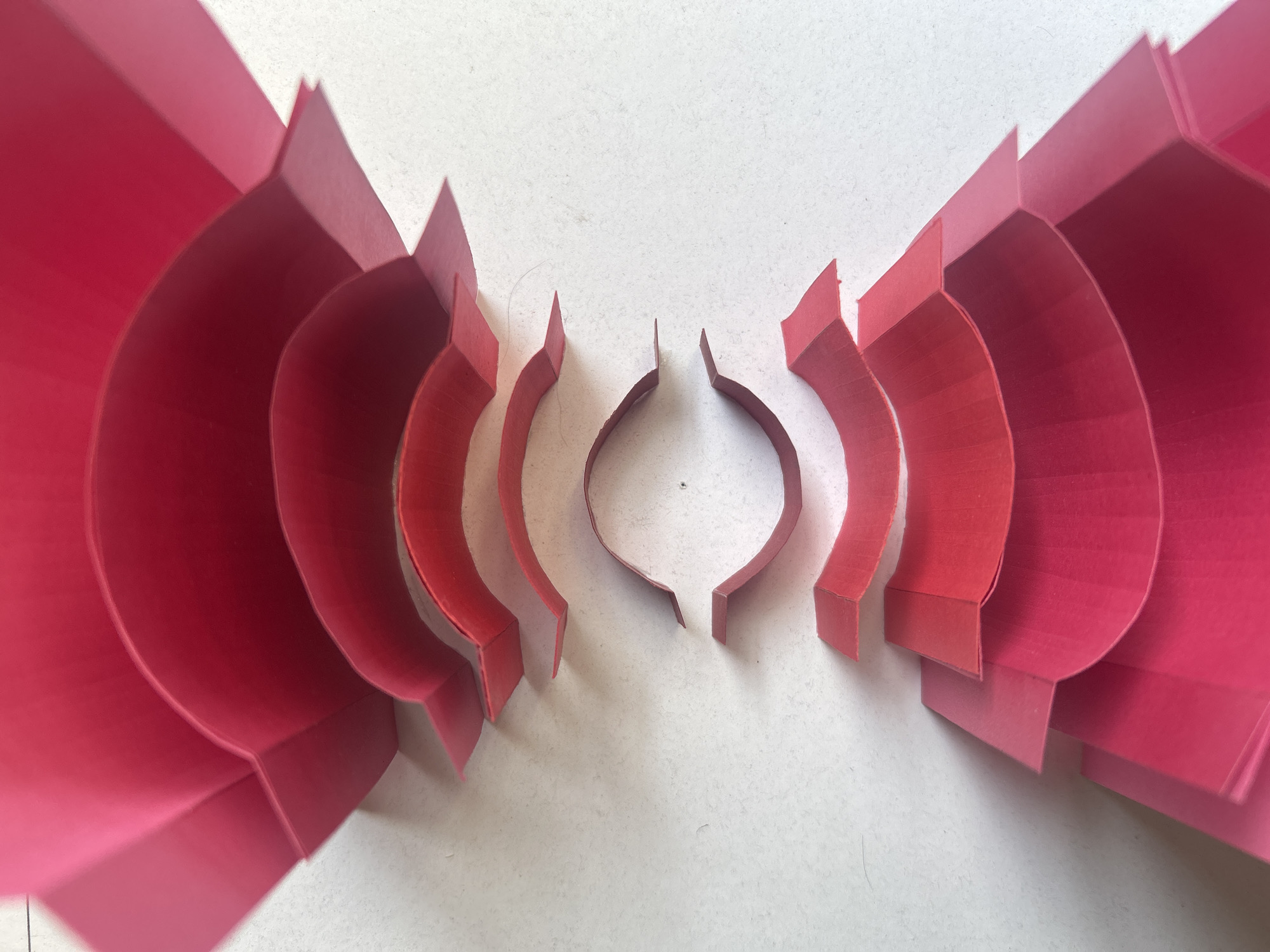 The image shows a symmetrical arrangement of red paper cutouts on a white surface. The cutouts are arranged in layered, curved shapes, resembling stylized flowers or wings. The shapes are oriented towards the center of the frame, with the smallest curves in the center and progressively larger curves extending outwards. The lighting is even, casting soft shadows. The scene is indoors. The location is not discernible from the provided image.