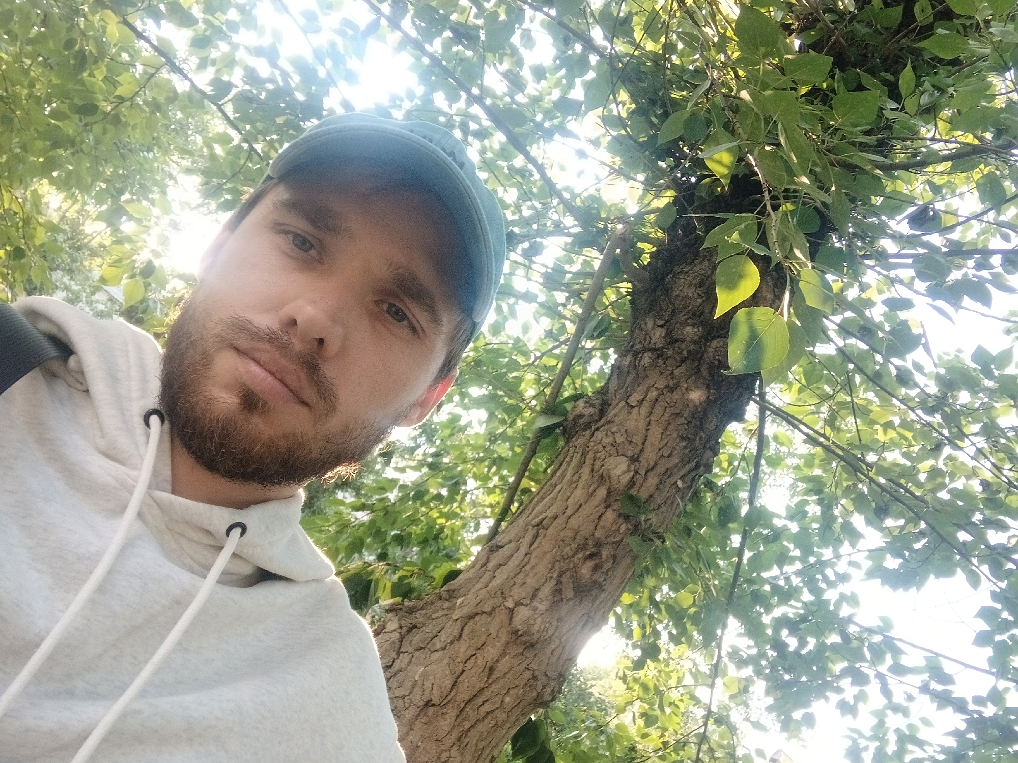 The image is a selfie taken from a low angle, looking up towards the sky and a large tree. The primary subject is a young man wearing a light-colored hooded sweatshirt and a teal baseball cap. He has light skin, brown hair, and a light beard. His facial expression appears neutral or slightly curious. The background is dominated by the trunk and branches of a tree, covered in lush green leaves. Sunlight filters through the leaves, creating a bright, dappled effect and suggesting it is daytime, likely morning or late afternoon due to the warm light. The overall setting appears to be outdoors, possibly a park or a natural area, given the abundance of foliage. There are no visible objects other than the man and the tree, and no text is present in the image. The mood conveyed is relaxed and natural.