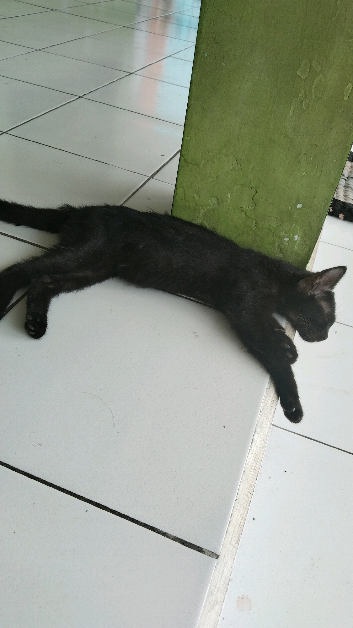 A black cat is lying on a white tiled floor. The cat is stretched out on its side, with its head resting on its paws. The floor is clean and dry, and there are no other objects in the scene. The image is taken from a high angle, looking down at the cat. The background is blurred, but it appears to be an outdoor setting with a green wall and some sort of rug. The image is well-lit, and the colors are natural.