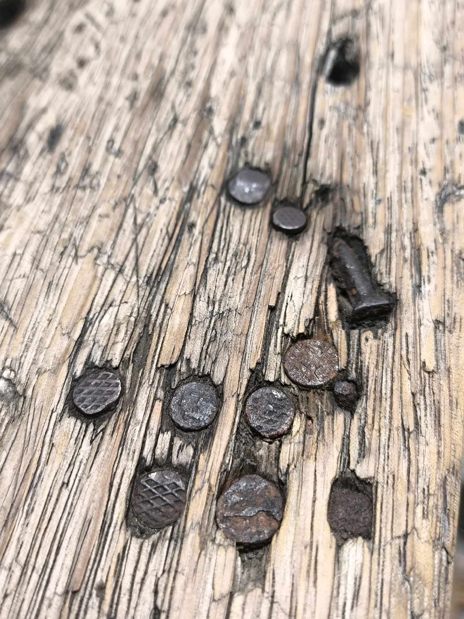 The image shows a close-up, high-angle shot of several old, rusty nails embedded in weathered, light-brown wooden planks. The wood exhibits a rough, grainy texture with visible cracks and vertical grain lines. The nails vary in size and condition, with some having intact heads and others appearing worn or partially submerged in the wood. The lighting is natural and casts soft shadows, highlighting the textures of the wood and metal. The overall scene conveys a sense of age and disuse. There is no indication of a specific location in South Jakarta, Indonesia, or any people, actions, or interactions depicted in the image.