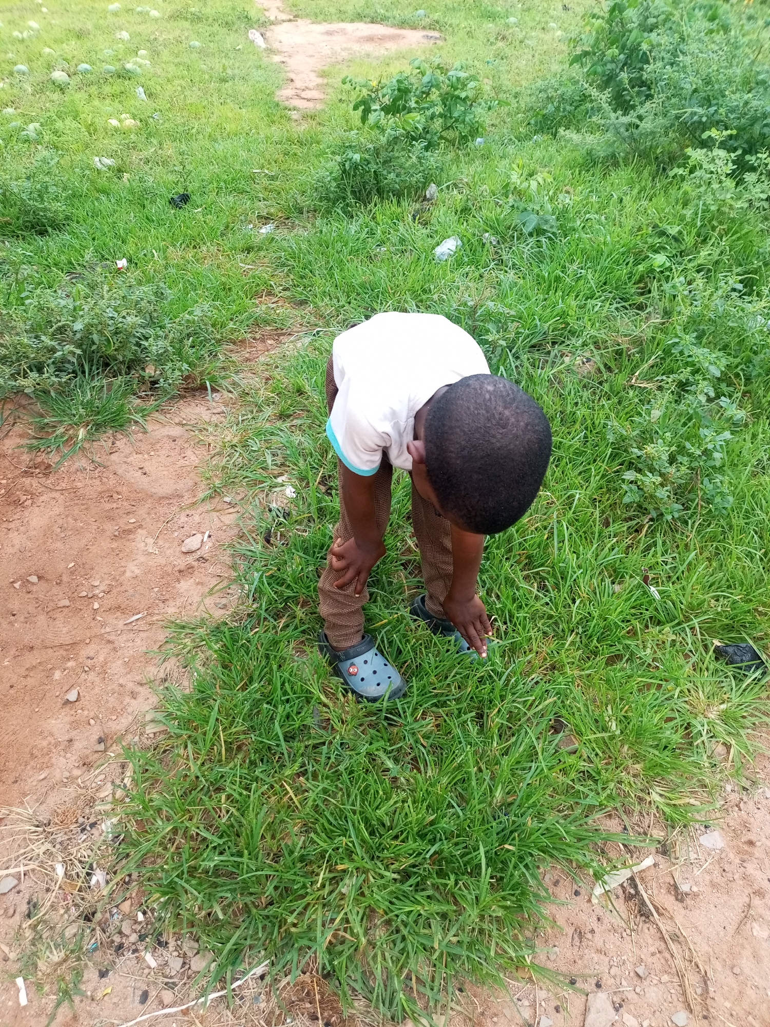A young boy, wearing a white t-shirt and brown patterned pants, is bending down in a grassy area. He is wearing blue Crocs with red circular embellishments. The boy's head is lowered towards the ground, and his right hand is extended as if reaching for something. The environment is an outdoor scene with patches of dry, sandy earth mixed with lush green grass and some green bushes in the background. The overall impression is a casual outdoor setting, possibly a backyard or undeveloped area, within the city of Tempure, Nigeria.