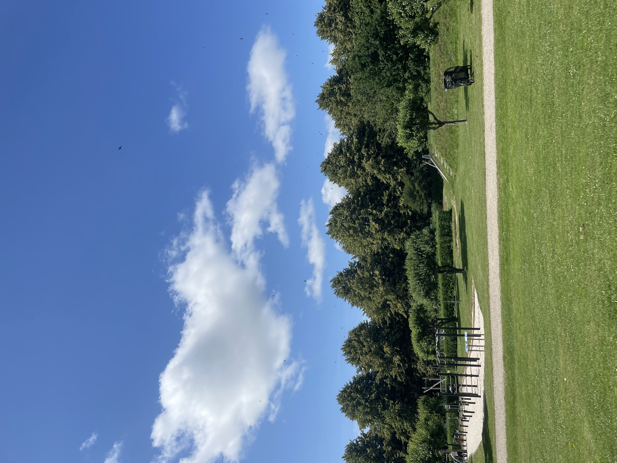 A medium-shot, eye-level, vertical photograph captures an outdoor fitness area at a park in Horsens, Denmark on a sunny day. The sky is a vibrant blue, dotted with fluffy white clouds and several birds in flight. In the foreground, a well-maintained green lawn stretches towards a gravel path. Beyond the path, an exercise area with sand surfacing features multiple pieces of outdoor gym equipment, including parallel bars and pull-up bars. To the right of the fitness equipment, a small slide descends a grassy embankment. Further to the right, a dark-colored cargo bicycle with a covered compartment is parked on the grass. A line of mature trees with full green foliage forms a dense backdrop across the middle ground, with manicured bushes and smaller trees interspersed. The overall scene depicts a recreational space with elements of exercise equipment, natural landscaping, and clear weather.