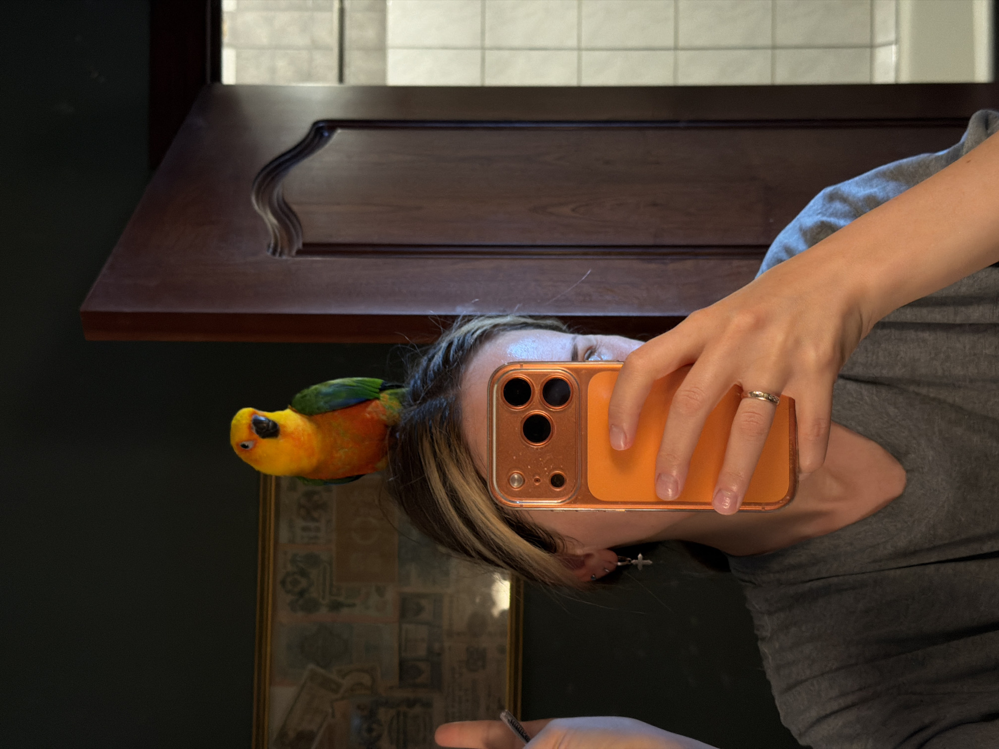 A woman with blonde-streaked hair is taking a selfie in what appears to be a domestic interior. She is holding an orange-cased smartphone in her right hand, which is positioned to capture her face and upper body. A small, colorful parrot, predominantly yellow and orange with green accents, is perched on top of her head. She is wearing a grey t-shirt and a silver cross-shaped earring in her left ear. A ring is visible on her right ring finger. Behind her, to the left, is a framed picture or tapestry hanging on a dark wall. To the right, a dark wood door is partially open, revealing a tiled wall and a white fixture, possibly a bathtub, in the background. The environment suggests a home setting in Khimki, Russia.
