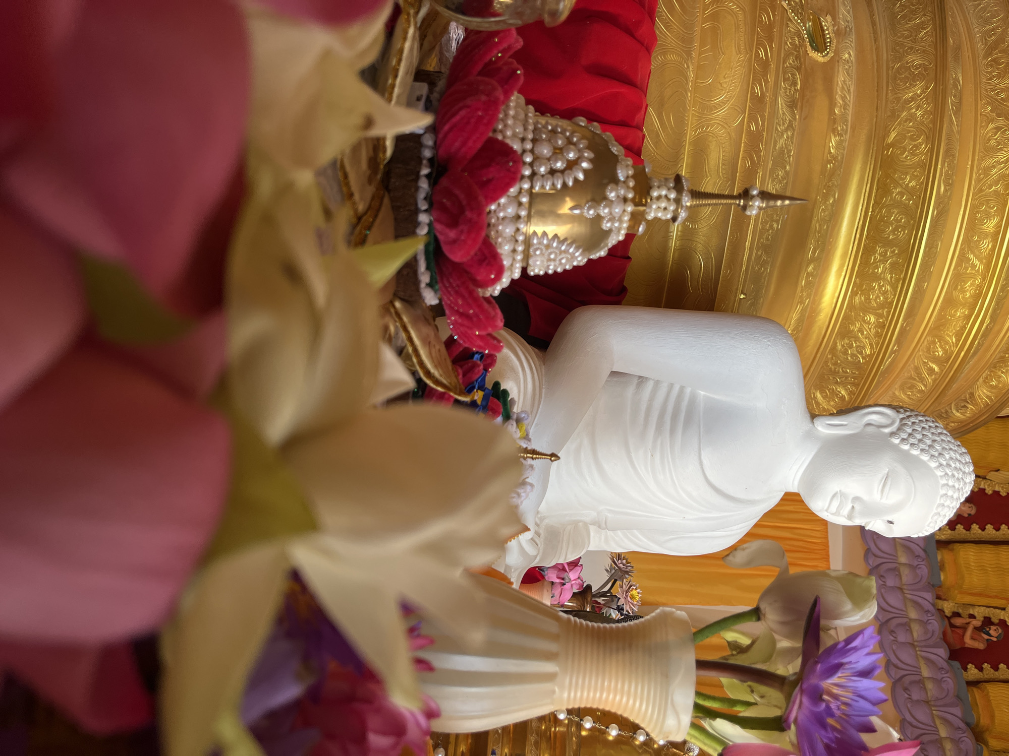 The image depicts an altar within a Buddhist temple in Walgama, Sri Lanka. A large, white statue of Buddha is seated against a golden, ornate background. In front of the Buddha statue, a golden stupa, adorned with pearls, rests on a vibrant pink lotus flower. The foreground is filled with a shallow depth of field, showcasing the soft petals of pink and white lotus flowers, with hints of purple lotus flowers in a vase to the right of the Buddha. The environment is richly decorated, suggesting a place of worship and cultural significance.
