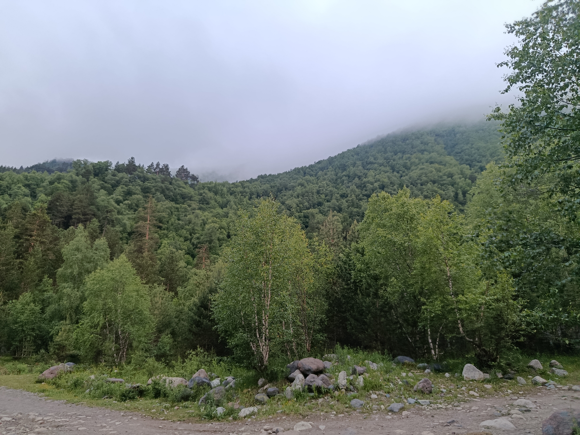 The image depicts a scenic view of a forested mountainside in Terskol, Russia. The foreground shows a rough, gravelly path with scattered rocks and green vegetation. Beyond the path, a dense forest of various trees covers the lower slopes of the mountains. The upper parts of the mountains are shrouded in thick, gray fog, obscuring the peaks and creating a moody atmosphere. The sky is overcast and pale. The scene is natural and tranquil, with no visible people or structures.