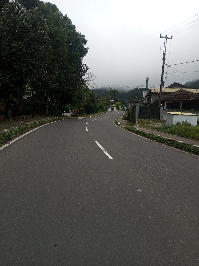 A dark gray asphalt road, featuring a white dashed center line and a solid white line along its left edge, curves through Bangtsho, Bhutan. The road initially bends right, then gently left, receding into a landscape obscured by mist or low clouds. To the immediate left, a dense line of tall green trees parallels a concrete curb with overgrown grass. On the right, a wooden utility pole supporting multiple electrical wires stands near the road, adjacent to an unpaved, grassy shoulder. Beyond the utility pole, several structures are visible, including a building with a brown tiled roof and a smaller, white rectangular edifice. A metal telecommunications tower is discernible on a distant, forested hill. The sky is uniformly overcast and light gray, indicative of a cloudy or foggy day. No individuals, vehicles, or animals are present within the scene.