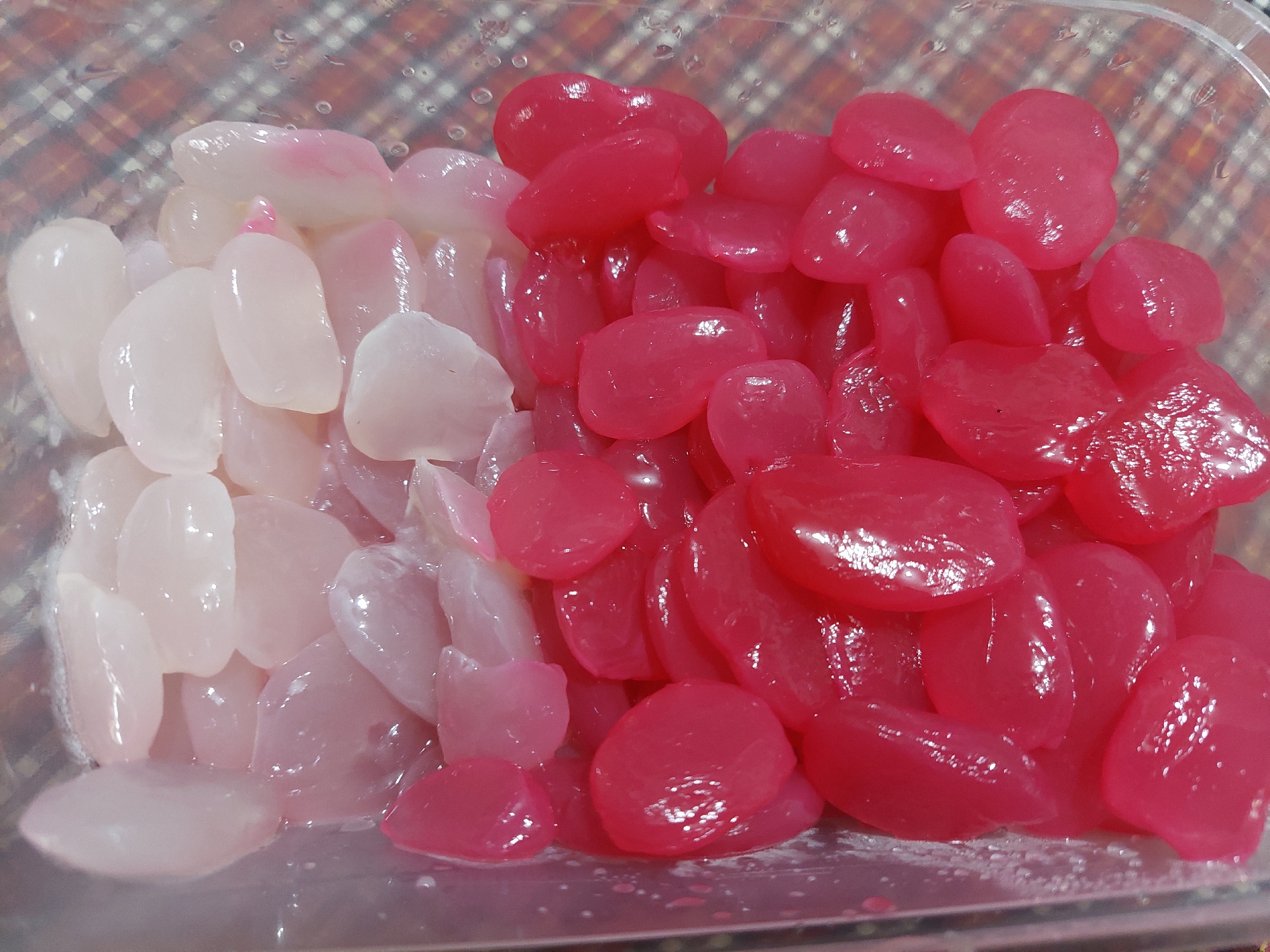 A transparent plastic container holds a serving of kolang-kaling, a type of preserved fruit. The contents are divided into two distinct color sections: the top portion consists of white, translucent kolang-kaling, while the bottom portion features bright pink kolang-kaling. The fruits are oval to teardrop-shaped and appear glossy, suggesting they are preserved in syrup. The container is placed on a surface with a checkered pattern, likely a table or placemat, in a home environment in Jelutung, Indonesia. The background is slightly out of focus, with some water droplets visible on the exterior of the plastic container.