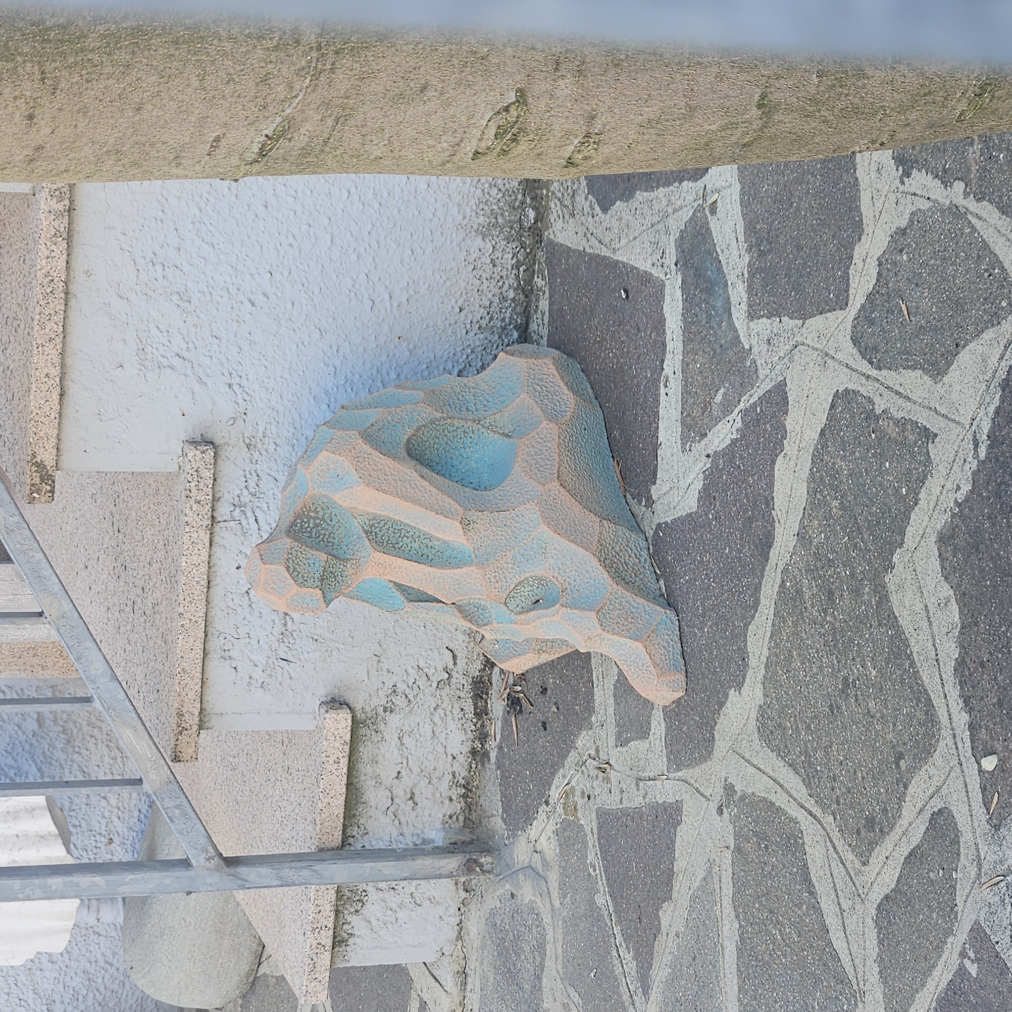 The image depicts an outdoor scene with a textured, angular, blue and pink sculpted object placed on a patterned stone pathway. The object appears to be a decorative piece, possibly a garden ornament, with a porous texture and geometric indentations. Behind the object, a textured white wall is visible, with a section of stairs leading up to it, featuring a light-colored, speckled surface and a metal railing. To the right of the sculpted object and pathway, a portion of a tree trunk with a rough, textured bark is present. The ground is paved with irregular, dark gray stones outlined with lighter grey grout, creating a mosaic-like pattern. Scattered debris, such as small leaves and twigs, are visible on the pathway. The lighting suggests an outdoor setting during daylight hours. The style of the pathway, the building material of the wall and stairs, and the overall aesthetic suggest a location in Modena, Italy, possibly in a residential or public garden area. There are no people visible in the image.