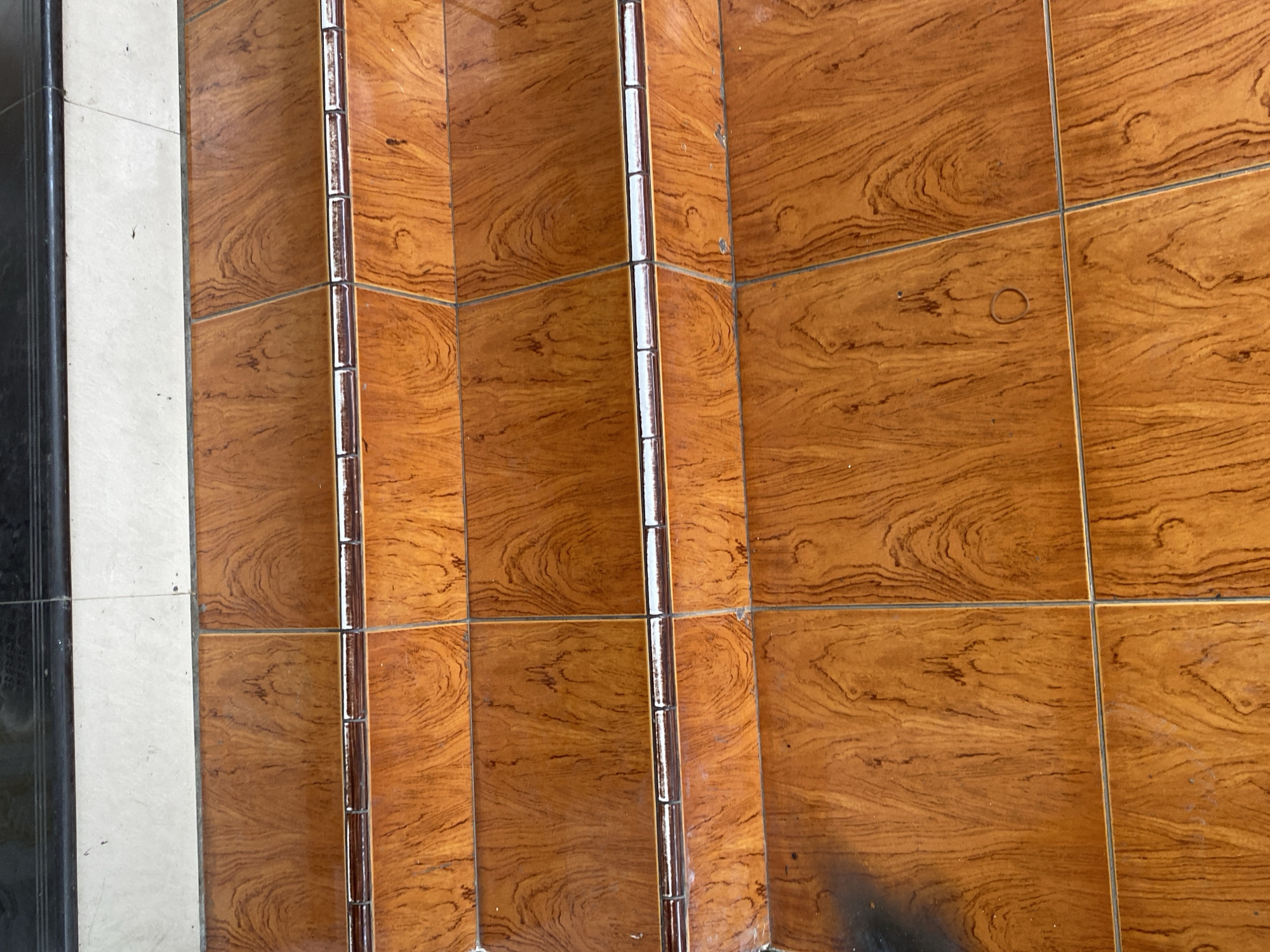 The image shows a close-up, eye-level view of tiled steps. The tiles have a polished wood-grain pattern in various shades of brown and orange, with visible dark lines representing the grain. The steps are arranged in a grid pattern. Between the horizontal rows of tiles, there is a thin band of decorative trim, appearing to be made of small, rectangular metallic tiles. Above the tiled steps, there are two more rows of flooring: the lower row is white tile, and the top row is black tile. The scene appears to be outdoors, possibly at the entrance to a building. There are no people or animals visible in the image.
