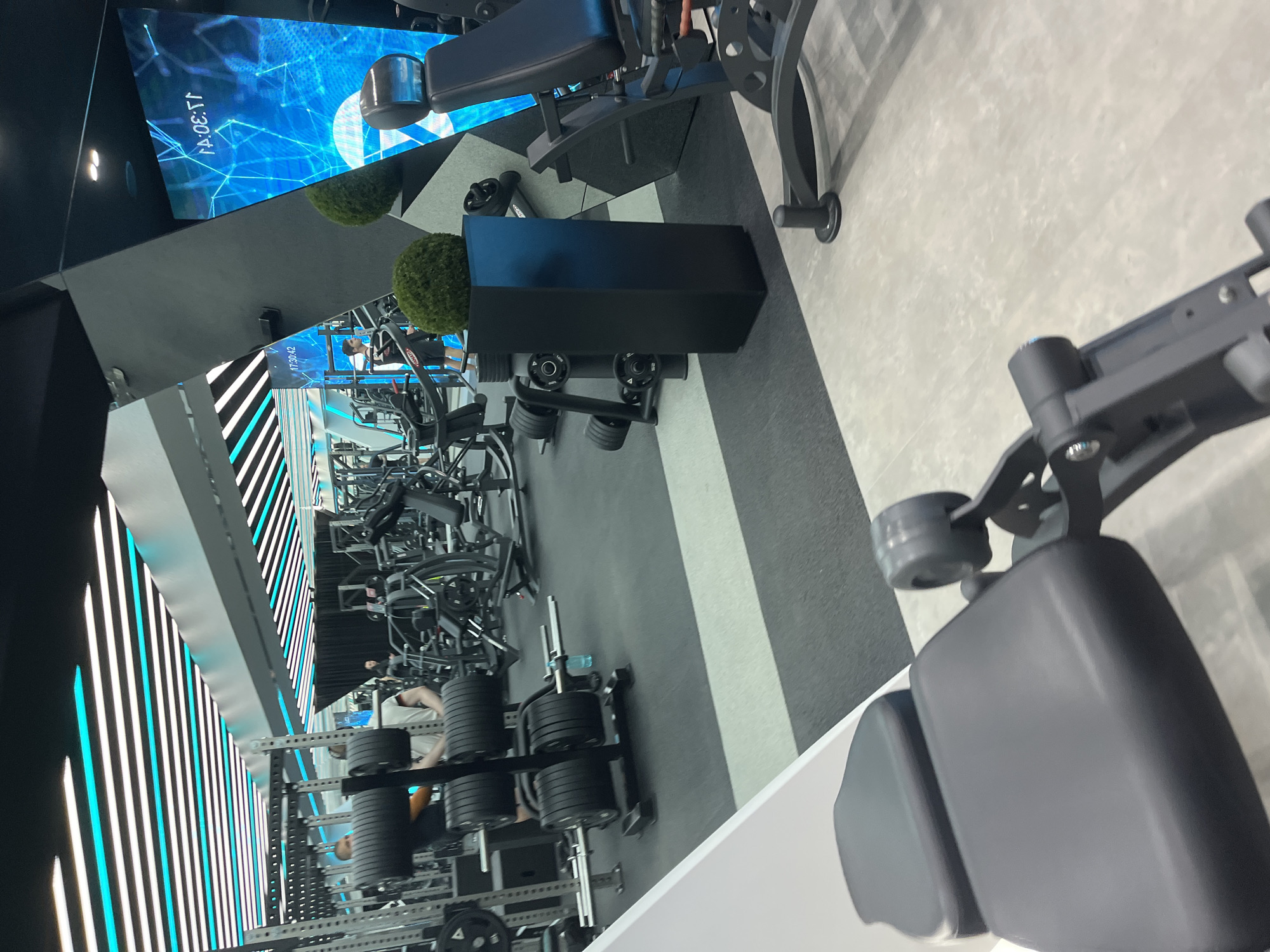 This indoor image shows an array of gym equipment, potentially in a fitness facility, with a focus on weightlifting and exercise machines. The interior is modern, with black and white vertical stripe lighting and a blue digital display. There are weights stacked on racks, and exercise machines are arranged in rows. In the center of the frame, there is an indoor plant placed between two weightlifting benches. The setting could be in the city of Unknown, Unknown.