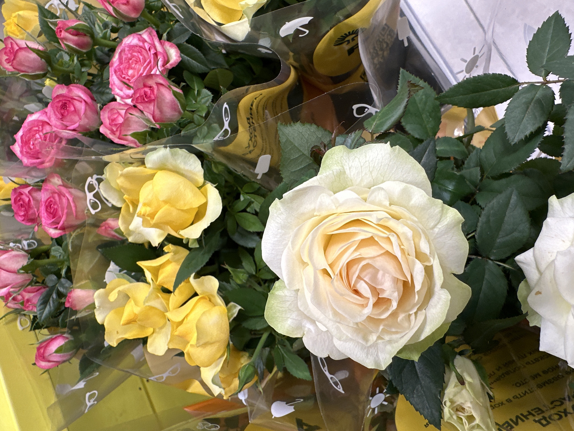 This close-up image captures a vibrant collection of rose bouquets, likely displayed for sale in a store or market. The primary subjects are numerous roses in various stages of bloom and budding. Dominant colors include bright fuchsia pink, cheerful yellow, and soft creamy white. Dark green foliage provides a rich contrast to the colorful blossoms.
Each bouquet is individually wrapped in transparent plastic sleeves, which feature repeating white, stylized icons. These whimsical designs include sunglasses, an umbrella, an ice cream cone or popsicle, and a sun, suggesting a summery or pleasant theme. The plastic creates reflections and slight distortions of the flowers and background elements.
The roses appear fresh and healthy, with some petals still tightly furled and others fully open, revealing intricate centers. The scene is brightly lit, indicating a daytime setting. Visible in the background, especially on the yellow surfaces behind the flowers and through the plastic, are fragments of Cyrillic text. Partially discernible words include "ВЫХОД" (Exit) and parts of "РАСТЕНИЕМ" (plant), suggesting product information or store signage. The overall impression is one of freshness and beauty, characteristic of a floral shop in Omsk, Russia.