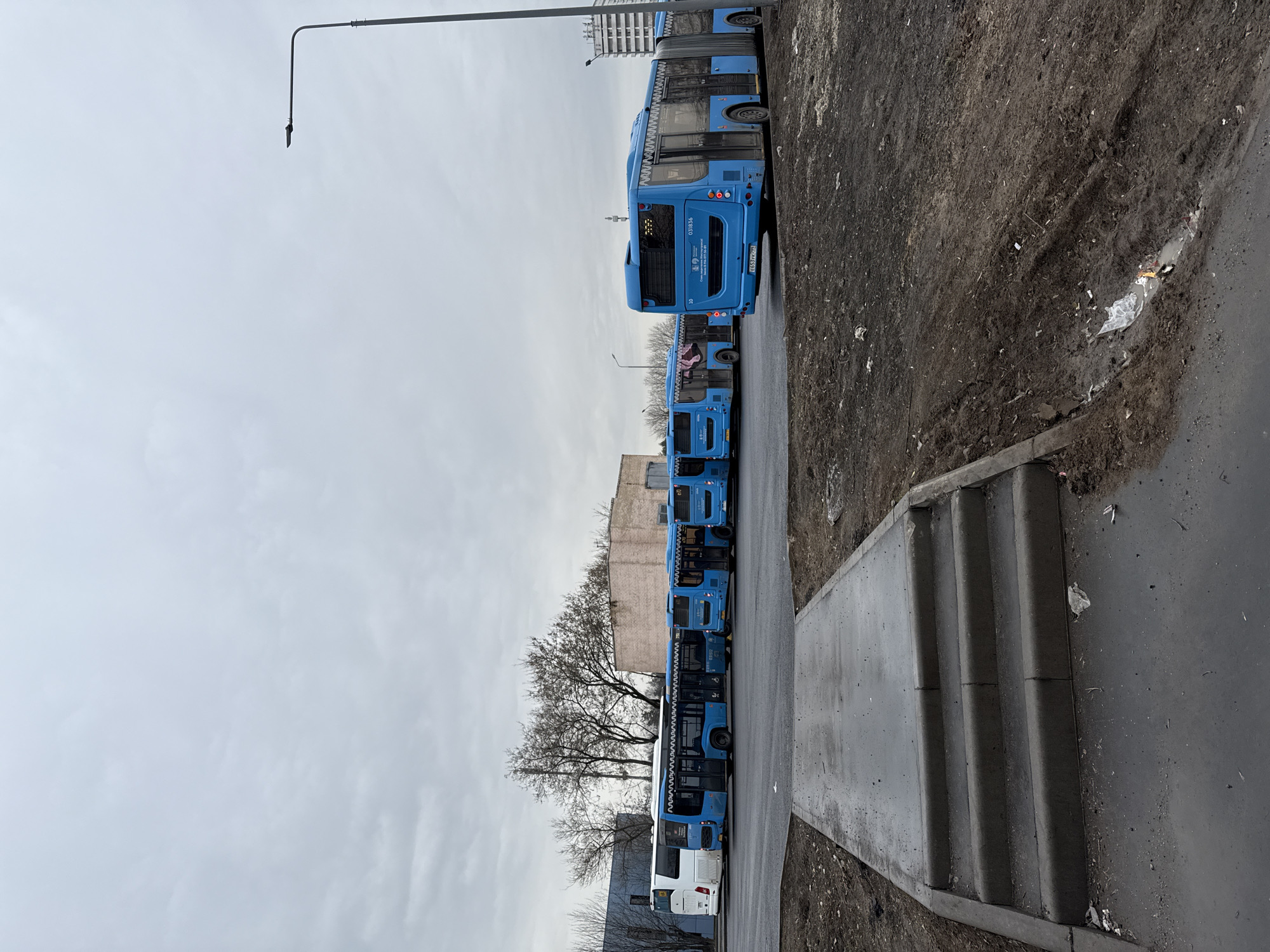 A row of blue buses is parked along a sidewalk in what appears to be a bus depot or staging area. The buses are identical, and the backs of the buses are visible. To the right of the buses, there is a sidewalk and some steps. There is some debris near the sidewalk. The sky is overcast. The location is likely Moscow, Russia, due to the bus markings and the Cyrillic script on the license plates.