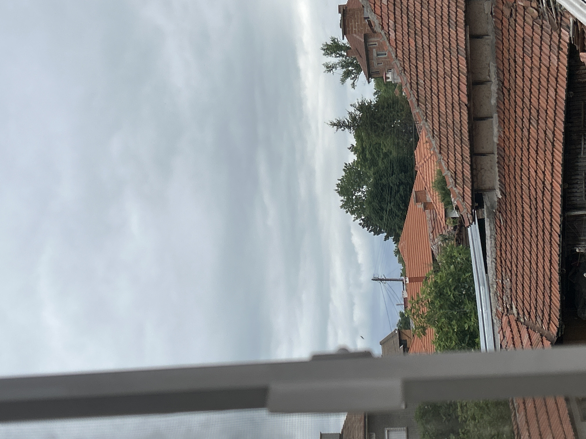 The image shows a view of rooftops in Parvomay, Bulgaria. The sky is overcast with grey clouds. In the foreground, a white window frame is visible on the left. The rooftops are covered with red clay tiles, and some of the buildings have chimneys. Trees are scattered throughout the scene, with a dense cluster of green trees in the middle ground. A few utility poles with wires are also present. The overall impression is of a residential area under a cloudy sky.