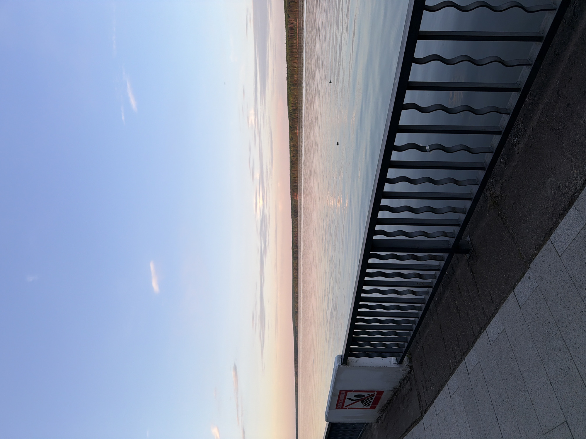 The image shows a view of the Kama River from the embankment in Chaikovsky, Russia. The photo is taken at ground level, next to the metal fencing that separates the pedestrian zone from the water. The sky is a gradient of blue and light orange, reflecting the sunset. The calm water reflects the sky's colors. On the opposite shore, a strip of trees is visible. Two birds are flying over the water. A white concrete base for the fence is visible in the lower part of the image. A no-swimming sign is affixed to the concrete base. The embankment walkway is constructed from gray tiles.