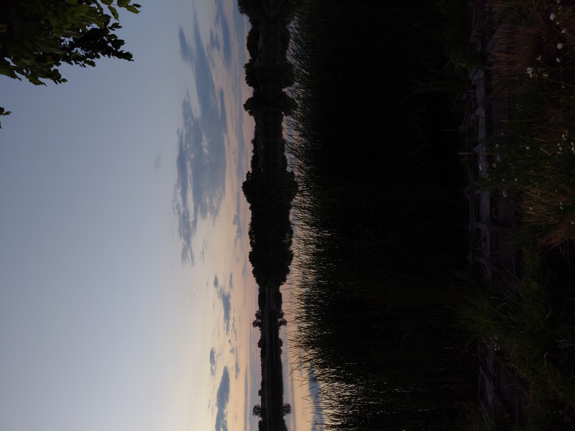 The image depicts a tranquil evening scene at a body of water, likely a river or lake, in the vicinity of Ustyvytsia, Ukraine. Tall reeds or grass line the foreground, silhouetted against the water. The surface of the water reflects the soft hues of the twilight sky, which is a gradient of pale blue and light orange, with scattered clouds. Across the water, a dark treeline is visible, with a few indistinct structures suggesting human habitation. In the upper right corner, a branch with green leaves hangs into the frame, adding a natural element to the composition. The overall impression is one of peacefulness and natural beauty at dusk.