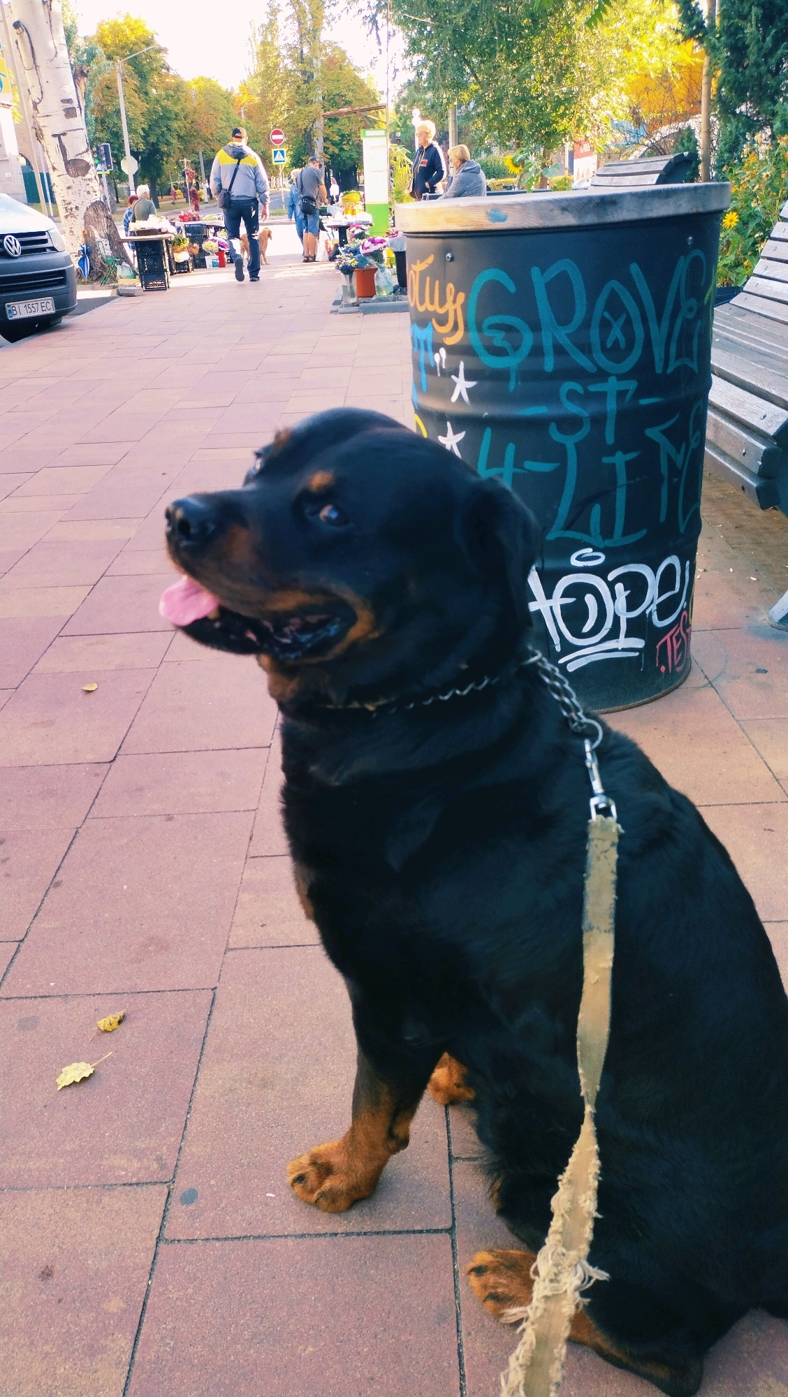 In Horishni Plavni, Ukraine, a large black Rottweiler sits on a paved walkway next to a large black barrel adorned with graffiti. The dog is on a leash, and its tongue is slightly out. In the background, several people are visible near stalls selling flowers and produce. A white Volkswagen minivan is parked on the left side of the image. The scene appears to be a market or street fair on a sunny day.