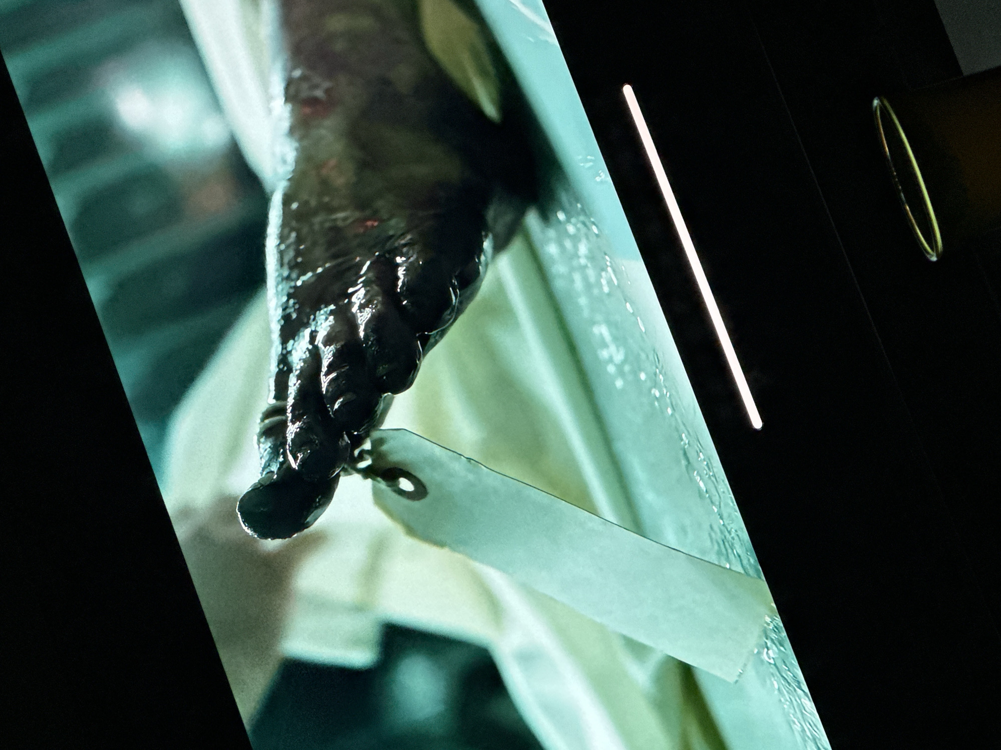 A photograph depicts a human foot with a toe tag attached. The foot appears dark and slick. The tag is rectangular and off-white. The scene appears to be an exhibit display with harsh, vertical lines and illumination. The location is unknown, and no evidence suggests that this event took place in Lovech, Bulgaria.