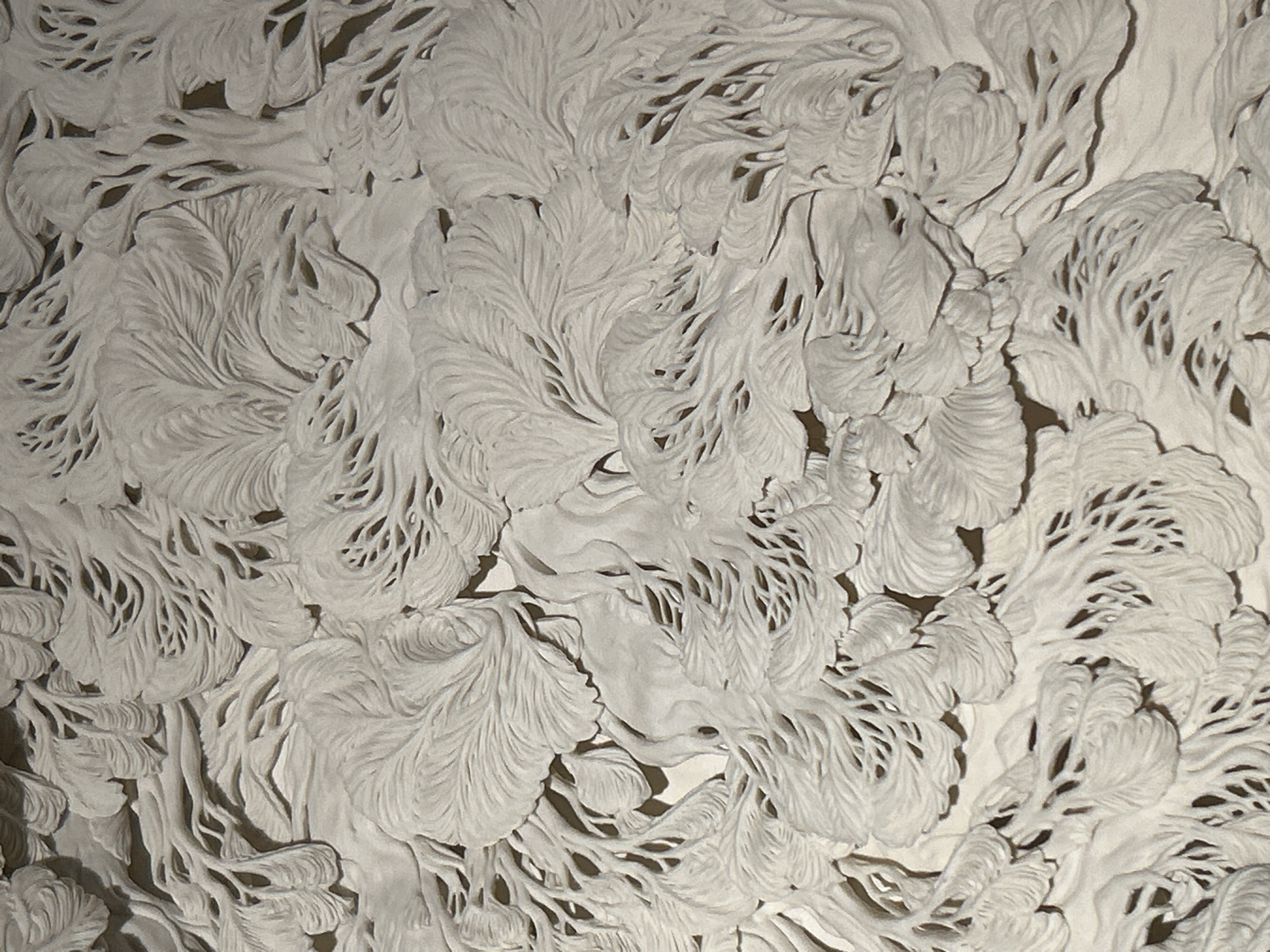 The image shows a close-up, overhead view of a detailed white sculpture. The sculpture is abstract and organic, with flowing forms that resemble plant life or natural formations. It appears to be a relief sculpture, with elements raised from a flat background. The texture is intricate, with many fine lines and overlapping shapes creating a sense of depth and movement. The lighting casts soft shadows, highlighting the three-dimensionality of the work. There are no people or animals visible in the image. The sculpture is composed of a single, uniform material, likely plaster, ceramic, or a similar medium, and is monochromatic. The image does not provide any information about its location in the City of Edinburgh, United Kingdom.