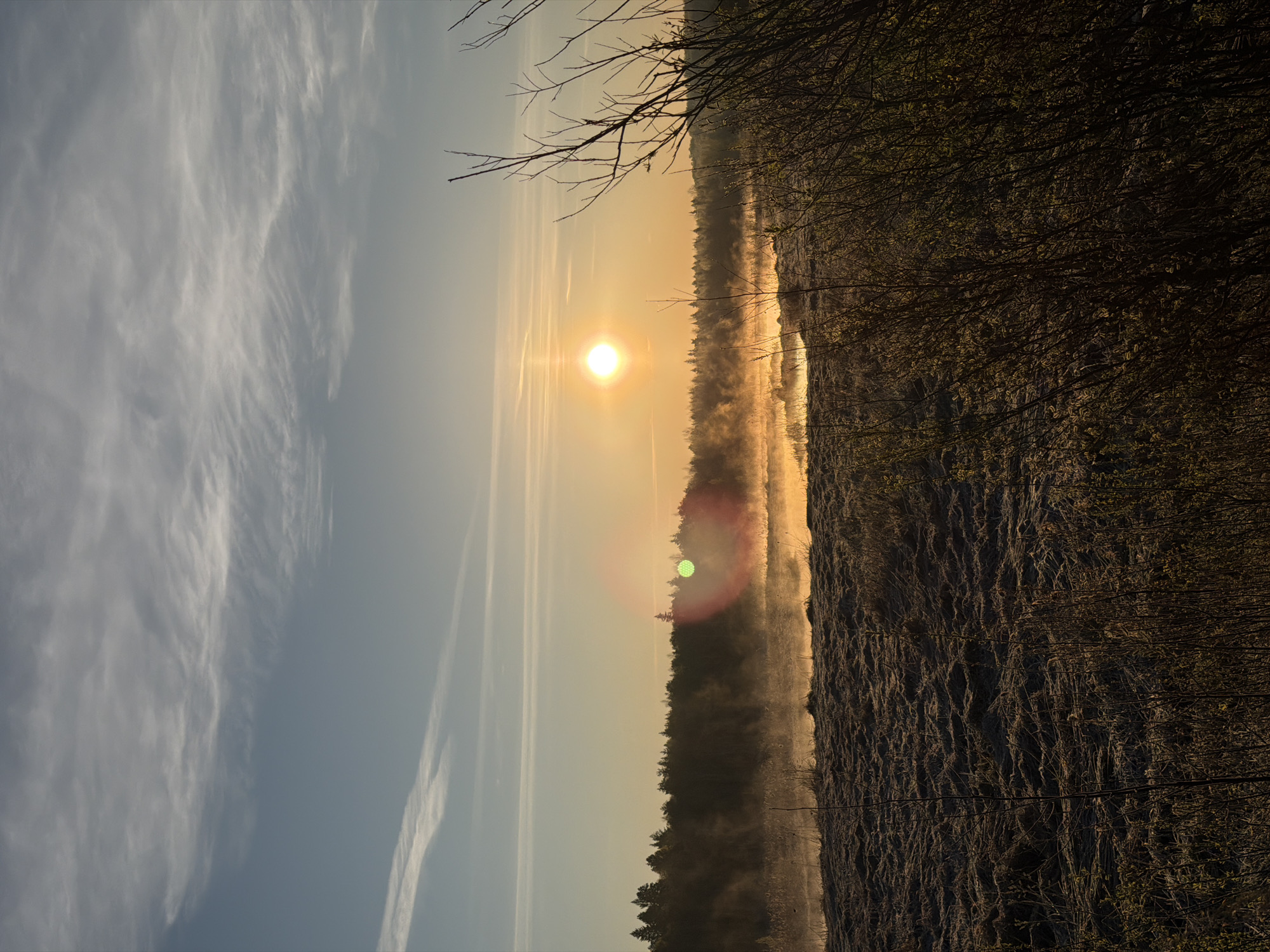 The image depicts a sunrise over a landscape in Izhevsk, Russia. A bright sun is positioned in the center, partially obscured by a thin layer of fog or mist. To the right of the sun is a dense forest line, merging into a field of brush. The left side of the image shows a sky with wispy clouds. A prominent lens flare appears as a green circle below the sun, indicating a direct light source impacting the camera. The entire scene is bathed in warm tones.