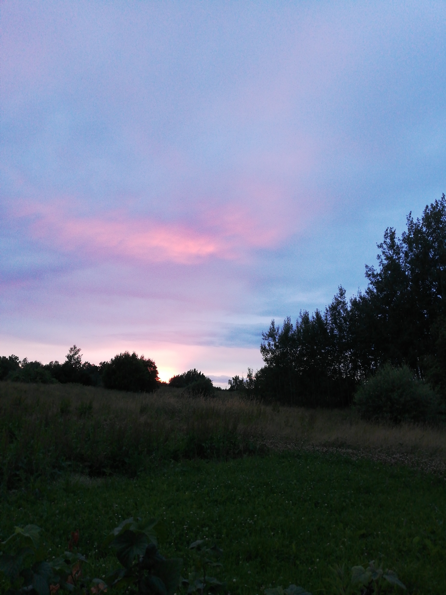 The image depicts a rural landscape at dusk, likely in the vicinity of Новапагосцкі сельскі Савет, Belarus. The sky is a gradient of colors, transitioning from a light blue on the right to shades of purple and pink on the left, with a bright, warm glow near the horizon, suggesting the setting sun is just below the visible landscape. A dense line of trees forms a dark silhouette across the middle ground, with some variation in height and density, hinting at a mix of deciduous and possibly coniferous trees. In front of the trees, a field of tall, dry grass extends, with a darker, shorter field of green vegetation in the foreground. The lighting suggests it is either early morning or late evening, with the fading light creating long shadows and a somber atmosphere. No people or specific structures are visible in the scene.