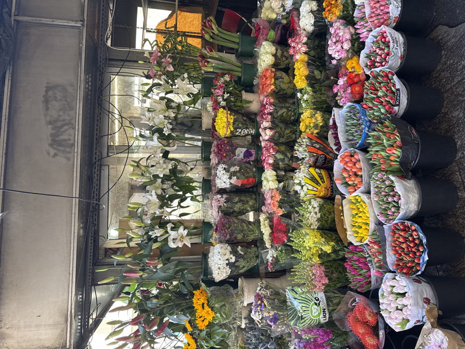 This image captures a vibrant flower stall in a city market or street vendor setting in Milan, Italy. The scene is dominated by a dense, multi-tiered display of fresh cut flowers under a light-colored, possibly metal or corrugated, overhead canopy.
The top tier features various potted or bucketed flowers. On the left, tall bunches of pink and white lilies, many still in bud, stand alongside bright yellow sunflowers. To the right, numerous white lilies are prominently displayed. The background behind these flowers consists of a reflective surface, possibly glass, showing blurred reflections and some visible electrical wiring or cables running horizontally.
Below the top tier, an extensive array of bouquets is arranged. The upper part of this tier showcases numerous bunches of flowers, including white chrysanthemums, various shades of pink, red, yellow, and purple blooms, many wrapped individually in clear plastic sleeves or light-colored paper. Some wraps bear partial text like "Zesw" or "LIONSTAR".
The lower two tiers present a dense collection of bundled cut flowers. Rows of plastic-wrapped roses in white, pink, red, orange, and yellow hues are visible. Below these, numerous black buckets on the lowest tier are filled with tightly packed bouquets of tulips in a wide spectrum of colors, including vibrant reds, oranges, yellows, pinks, and purples. Some tulip wraps feature branding like "Kunst" and "Schipper Tucher." Also visible are bundles of ranunculus, and on the far left, spiky red protea-like flowers.
No people are visible within the frame, and no specific actions or interactions are depicted. The scene is static, showcasing a meticulously arranged retail display of diverse floral offerings under bright, diffused daylight.