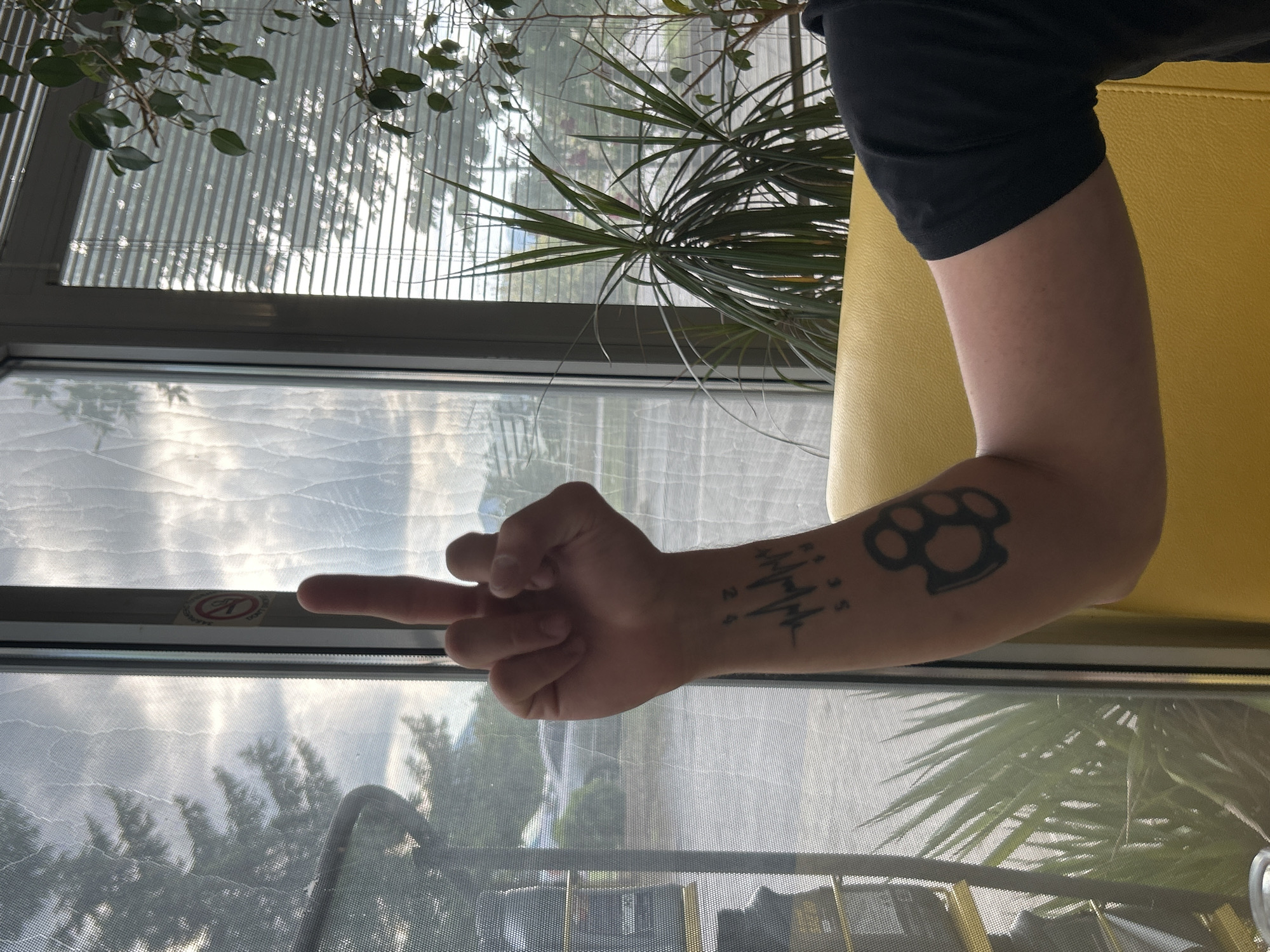 A person's arm is raised, showing a hand giving the middle finger. The arm has tattoos: a heart rate monitor with numbers, and brass knuckles. The person is wearing a black t-shirt and is sitting on a yellow chair. In the background, there is a window with a view of trees and a cloudy sky. Inside, there are blinds and plants. A "no smoking" sign is visible on the window frame. The location is Vratsa, Bulgaria.