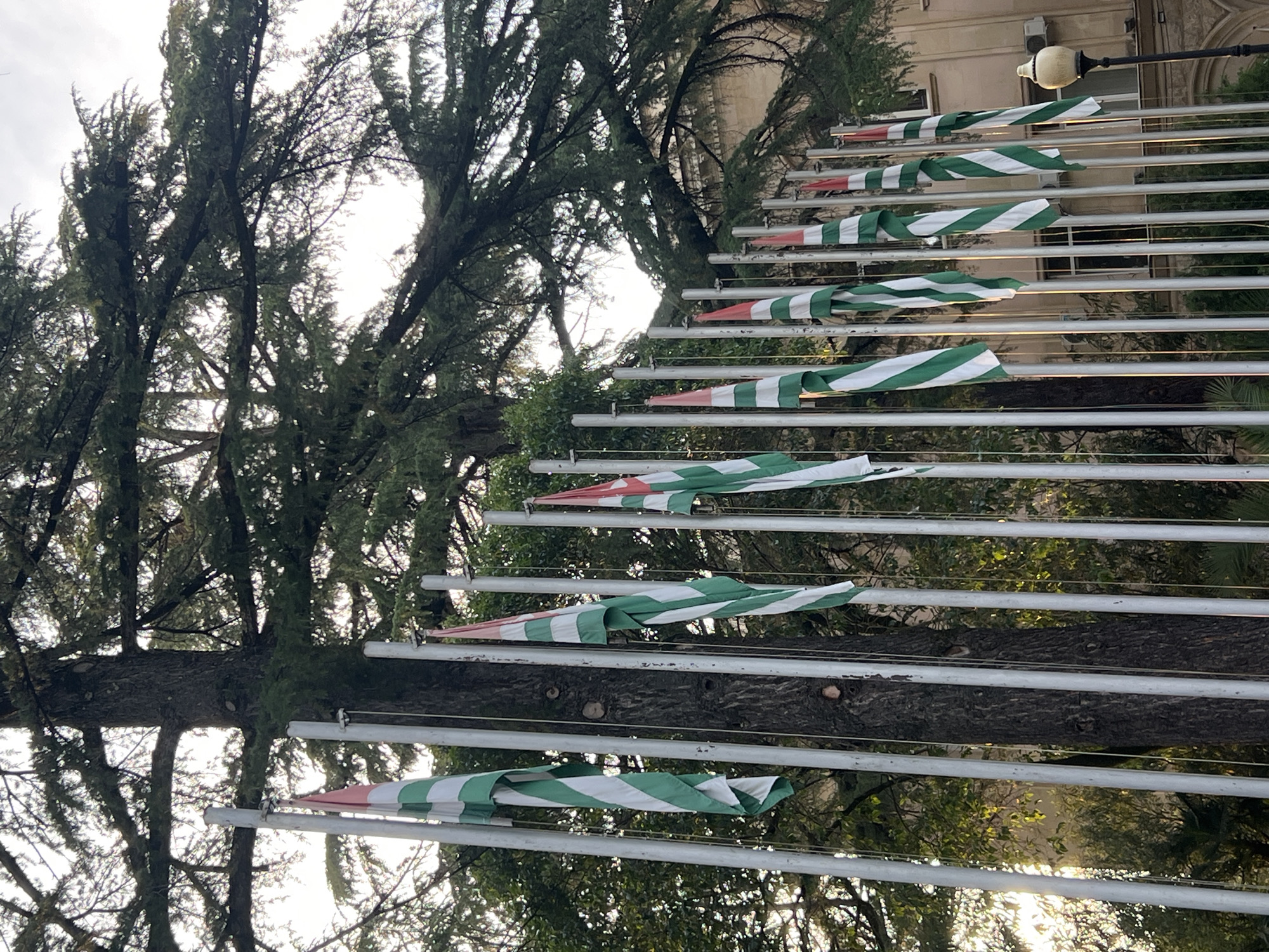 A low-angle shot captures a row of Abkhazian flags displayed on poles in front of a large tree and a building. The flags are mostly green and white striped, with some featuring a red canton with a white star and crescent. The flags are in various states of unfurling, with some hanging limply and others catching the breeze. The tree's branches dominate the upper portion of the frame, casting shadows on the flags and poles. The building in the background is light-colored and appears to be several stories high, with visible windows and an air conditioning unit. A lamppost with a vintage-style lamp is visible on the right side of the image. The lighting suggests it may be late afternoon or early morning, with sunlight filtering through the tree.