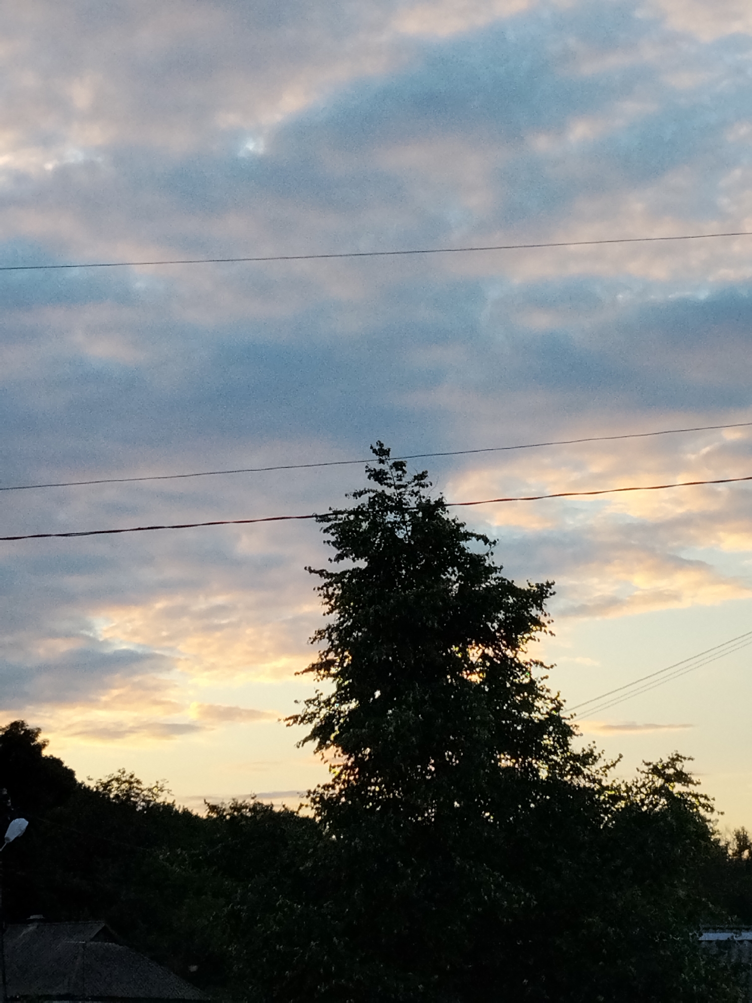 A nighttime landscape photograph taken in Ustyvytsia, Ukraine, depicts a silhouette of trees against a twilight sky. The sky is filled with soft clouds, tinged with pastel hues of blue, white, and yellow, suggesting the last light of sunset or the first light of dawn. Two thin, dark power lines are stretched horizontally across the upper portion of the frame, dividing the sky. In the foreground, the dense foliage of trees forms a dark mass, obscuring any ground details, though the outline of rooftops and a streetlight are partially visible at the bottom left. A tall, slender tree with dense leaves stands prominently in the center, its branches silhouetted against the luminous sky. The overall impression is one of a tranquil, rural evening scene.