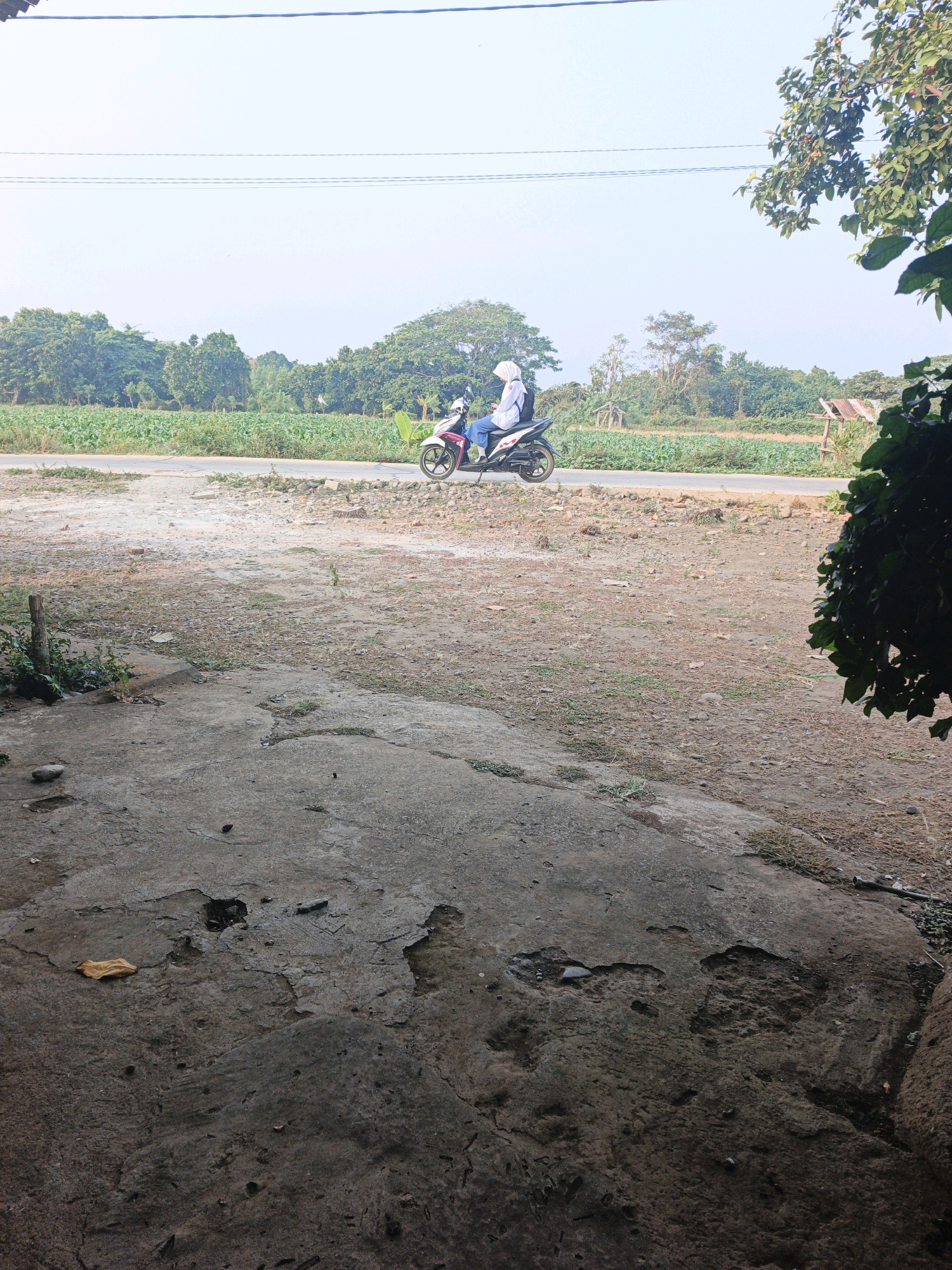 A person wearing a white hijab and blue pants rides a white and pink scooter on a dirt road in front of a field of green crops and a line of trees. The sky is clear and pale blue. In the foreground, there is a cracked concrete area with some scattered debris. The scene appears to be in a rural area of Bumiharjo, Indonesia.