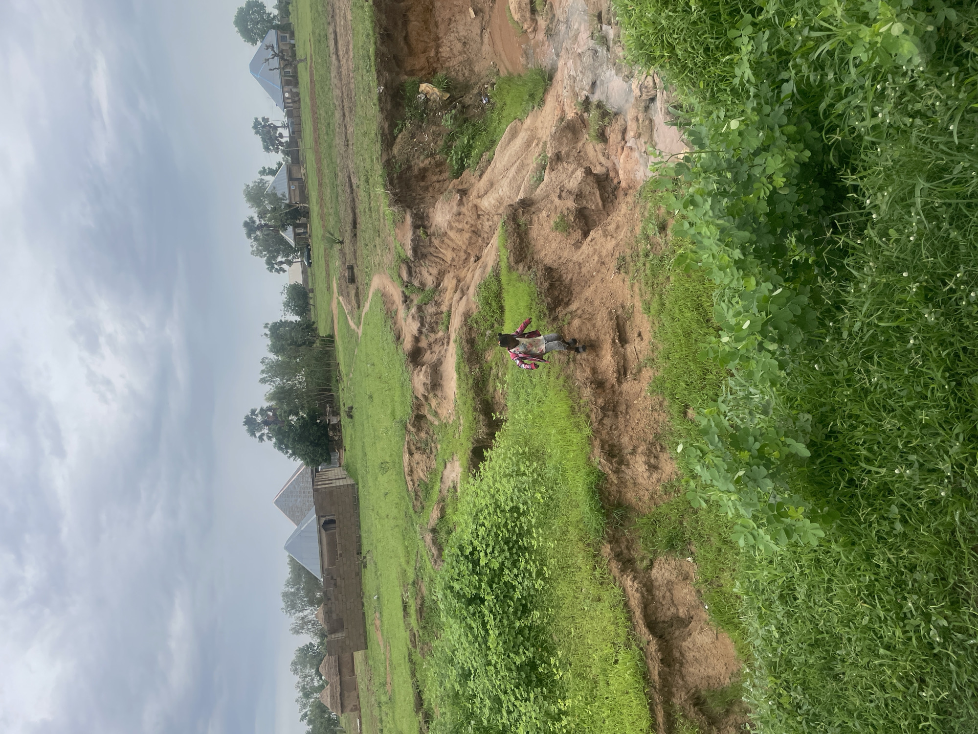 A young child, wearing a white shirt and a pink jacket over grey pants, is walking down a steep, eroded dirt embankment. The child is carrying a pink bag. The embankment appears to be a natural gully with sparse vegetation growing on its sides and at the bottom, where a small stream of water is present. The foreground is dominated by lush green grass. In the background, there are several houses with varying roof types, some appearing to be under construction. Trees and foliage are scattered throughout the landscape. The sky is overcast with clouds. The scene depicts a rural or semi-rural area, likely on the outskirts of Jalingo, Nigeria, given the architectural style of the houses and the natural terrain.