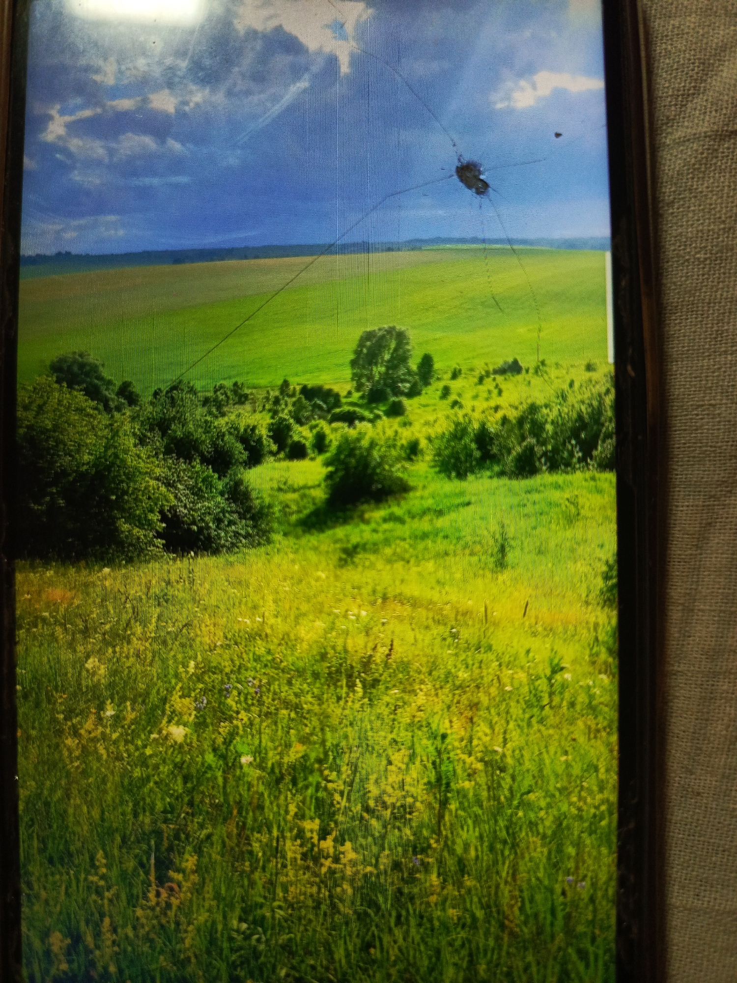 The image displays a broken screen, possibly from a phone or tablet, showing a landscape scene. The landscape features a bright blue sky with scattered clouds, a distant horizon of rolling green fields, and closer foregrounds of lush green grass and scattered trees. The screen's damage is evident as visible cracks radiating from a central point, distorting the image in those areas. The location in the city of Svoboda, Russia, is not discernible from the visual information provided in the image.