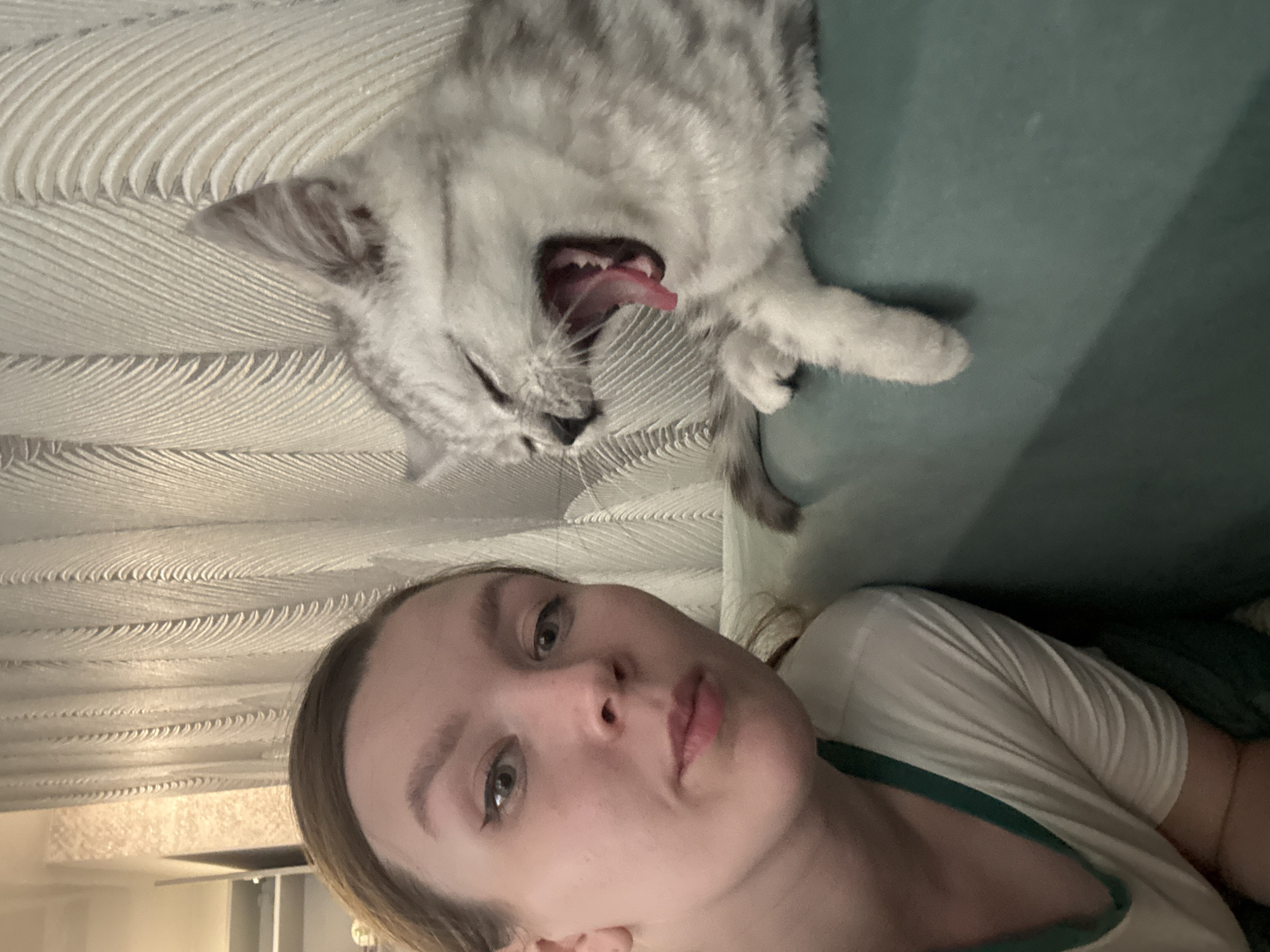 A woman is taking a selfie with a yawning light gray tabby cat. The cat is on a green-blue surface. The woman is wearing a white t-shirt with green trim. The background includes a white textured surface and a partially visible lamp. The location is not discernible from the image.