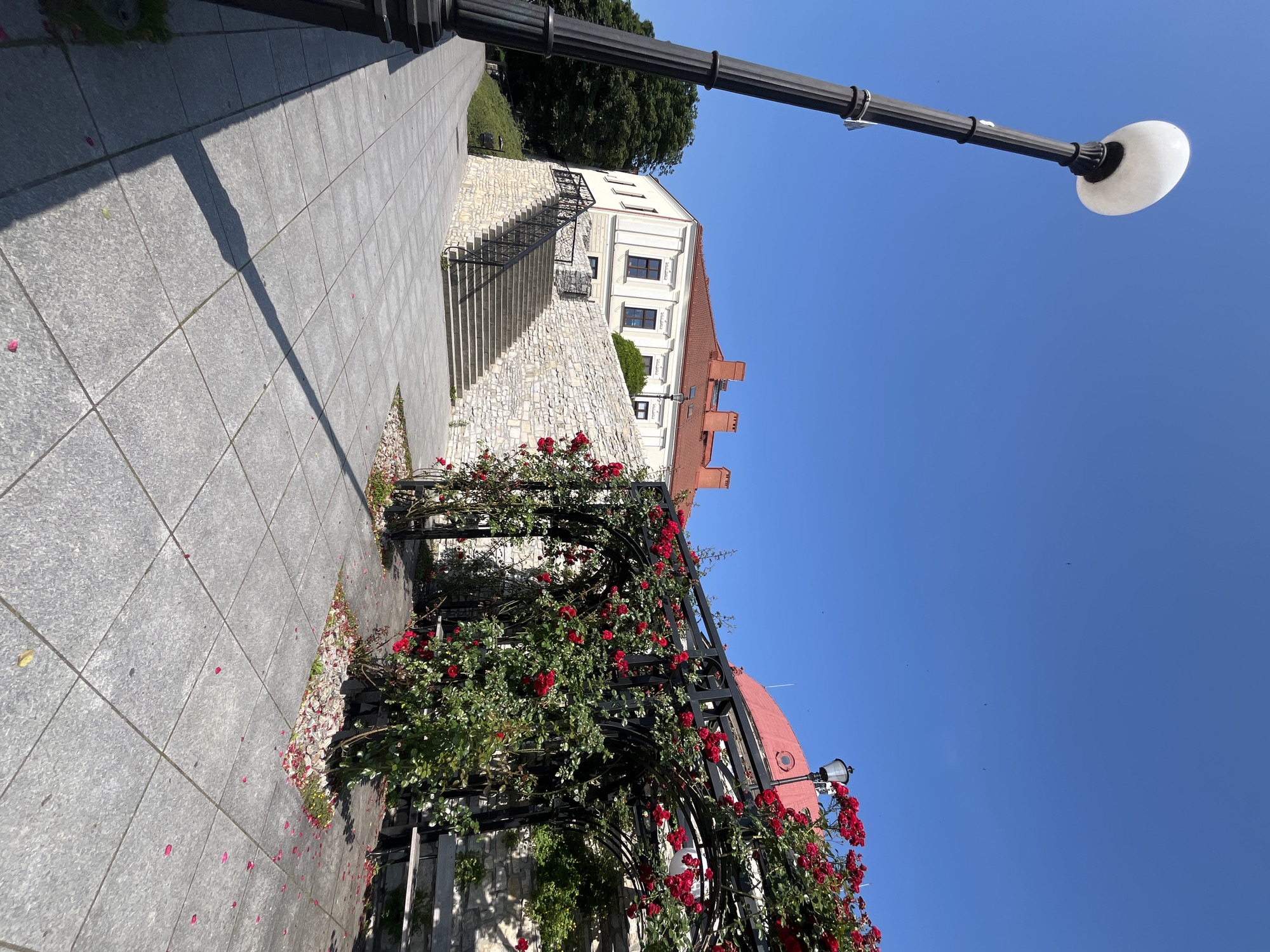 The image depicts an outdoor scene with a clear blue sky. In the foreground, a dark lamppost stands on the left, casting a long shadow across a paved walkway. To the right of the walkway, a black metal arbor is covered with blooming red roses, with some petals scattered on the ground. Beyond the arbor, a light-colored stone wall supports a staircase leading up to a building. The building has a red tile roof, white walls, and several windows. Behind the building, a dense green tree provides shade. The environment appears to be a public space, possibly a garden or park, adjacent to a historical building.