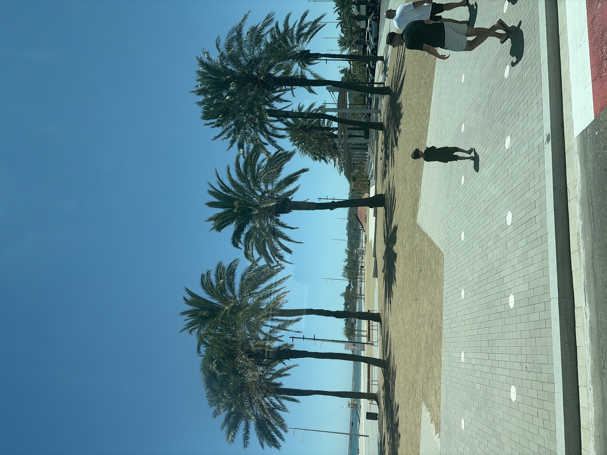 The image depicts a sunny day in La Pineda, Spain, with a clear blue sky. In the foreground, a tiled pathway is visible, with several white circular markers embedded in the tiles. Three people are walking on this pathway. One is a young boy in a black t-shirt and shorts, walking away from the camera. To his right, a man in a black t-shirt and checkered shorts is walking towards the right of the frame, and another man in a white t-shirt and dark shorts is walking behind him.
Behind the pathway, there is a sandy area with several palm trees casting shadows. Further back, there is a promenade with benches and lampposts, leading towards the beach. The sea and a distant shoreline with buildings and more trees are visible under the bright sky. Cars are parked along a road in the background, and a modern outdoor structure with a roof is also present.