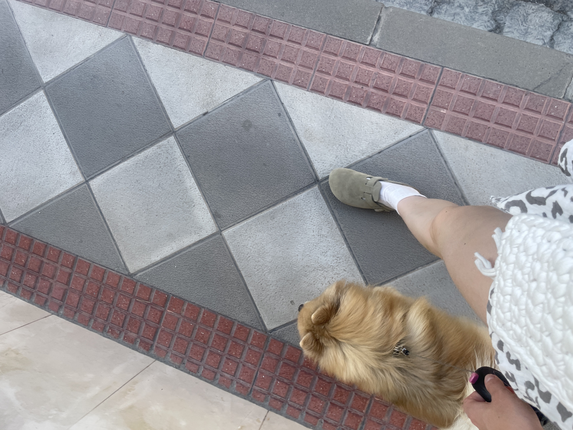 The image is an eye-level, vertical shot of a person walking a Pomeranian dog on a sidewalk with a distinctive checkered pattern of light grey and dark grey tiles. A decorative red tile border runs along the edge of the walkway. The person is wearing a light-colored shoe and white socks, and a portion of their leg and a white garment with a grey pattern are visible. The dog, facing away from the camera, has golden-brown fur and is attached to a leash held by the person. The scene appears to be outdoors, likely in a public space within the city of Atarfe, Spain, given the context.