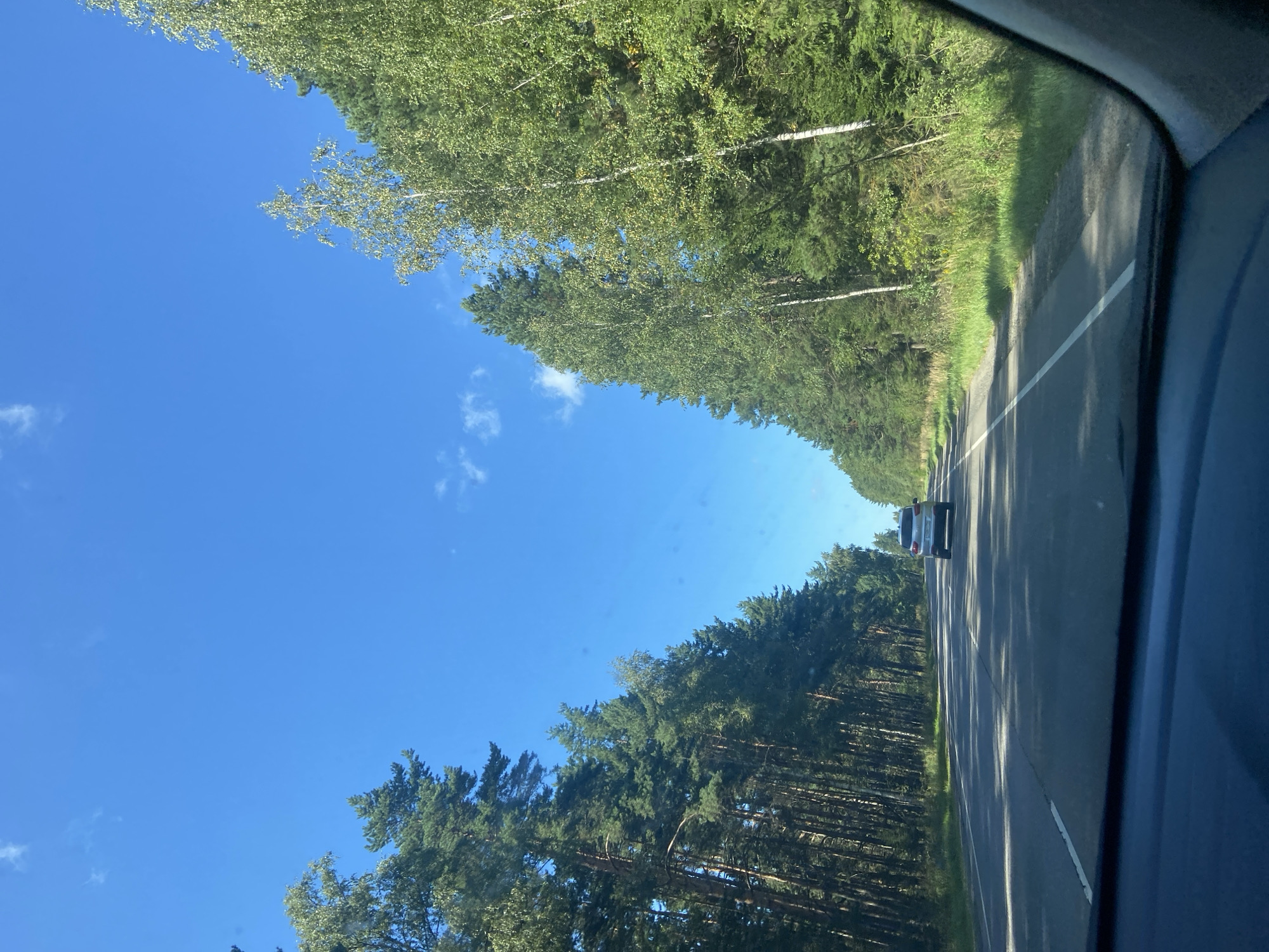 A silver SUV drives on a paved two-lane road through a forest. The sky is blue with a few scattered white clouds. Tall pine and birch trees line both sides of the road. The view is from inside a vehicle, looking forward through the windshield.