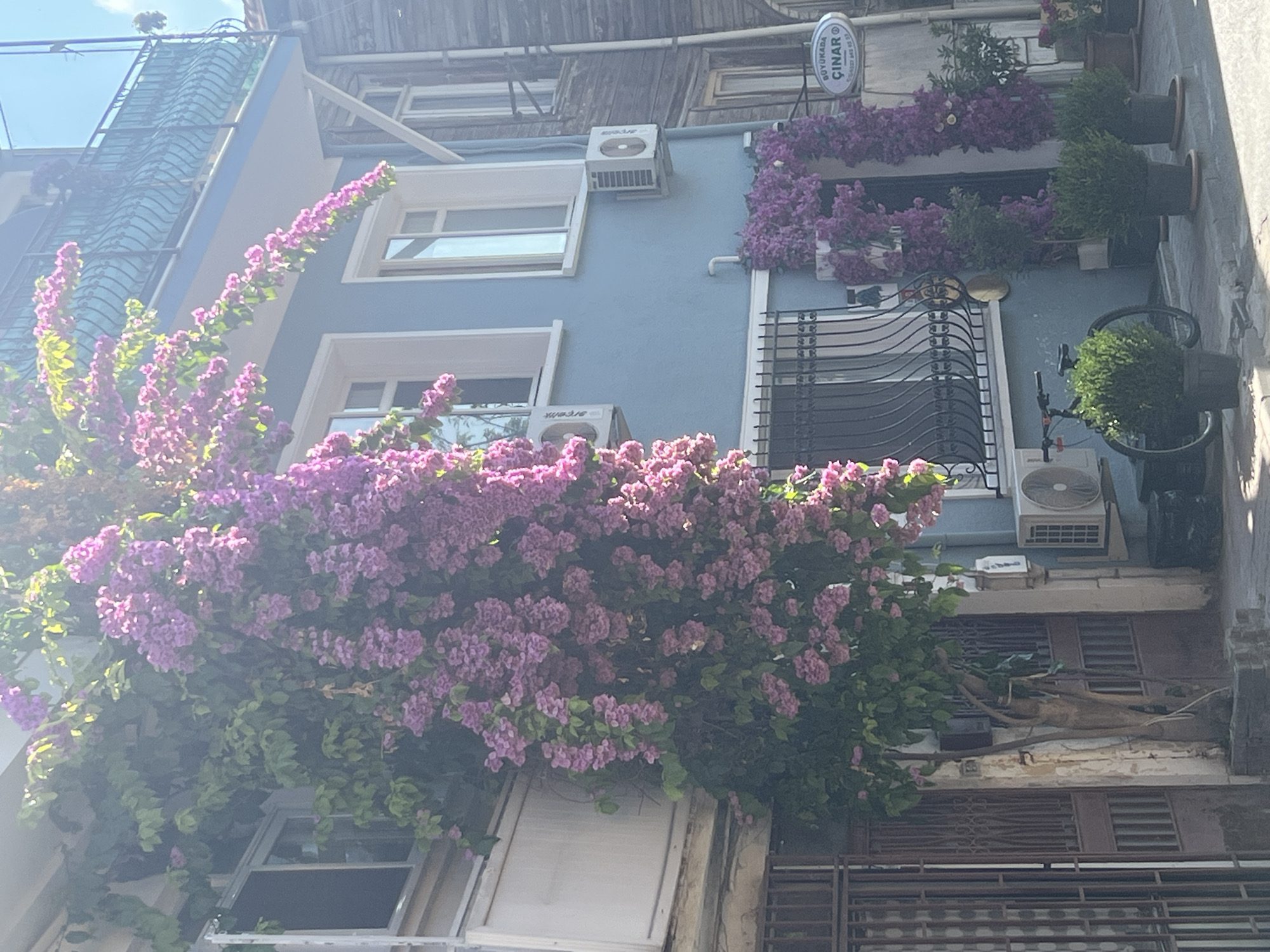 The image depicts a narrow street in the Prince Islands, Turkey, likely during daylight. A light blue building dominates the right side of the frame, adorned with vibrant pink bougainvillea cascading from its balconies and over its windows. Several air conditioning units are visible mounted on the exterior walls of this building. To the left of the blue building, a narrower, older structure with a pale facade and ornate metal gates stands. The street is paved with cobblestones, and potted plants and a bicycle are present. In the foreground, a gnarled tree grows in a planter. A circular sign for "BÜYÜKADA ÇINAR" is affixed to the blue building near the entrance, suggesting the establishment is in Büyükada, one of the Prince Islands. The overall impression is one of a charming, sunlit urban scene characterized by blooming flora and traditional architecture.