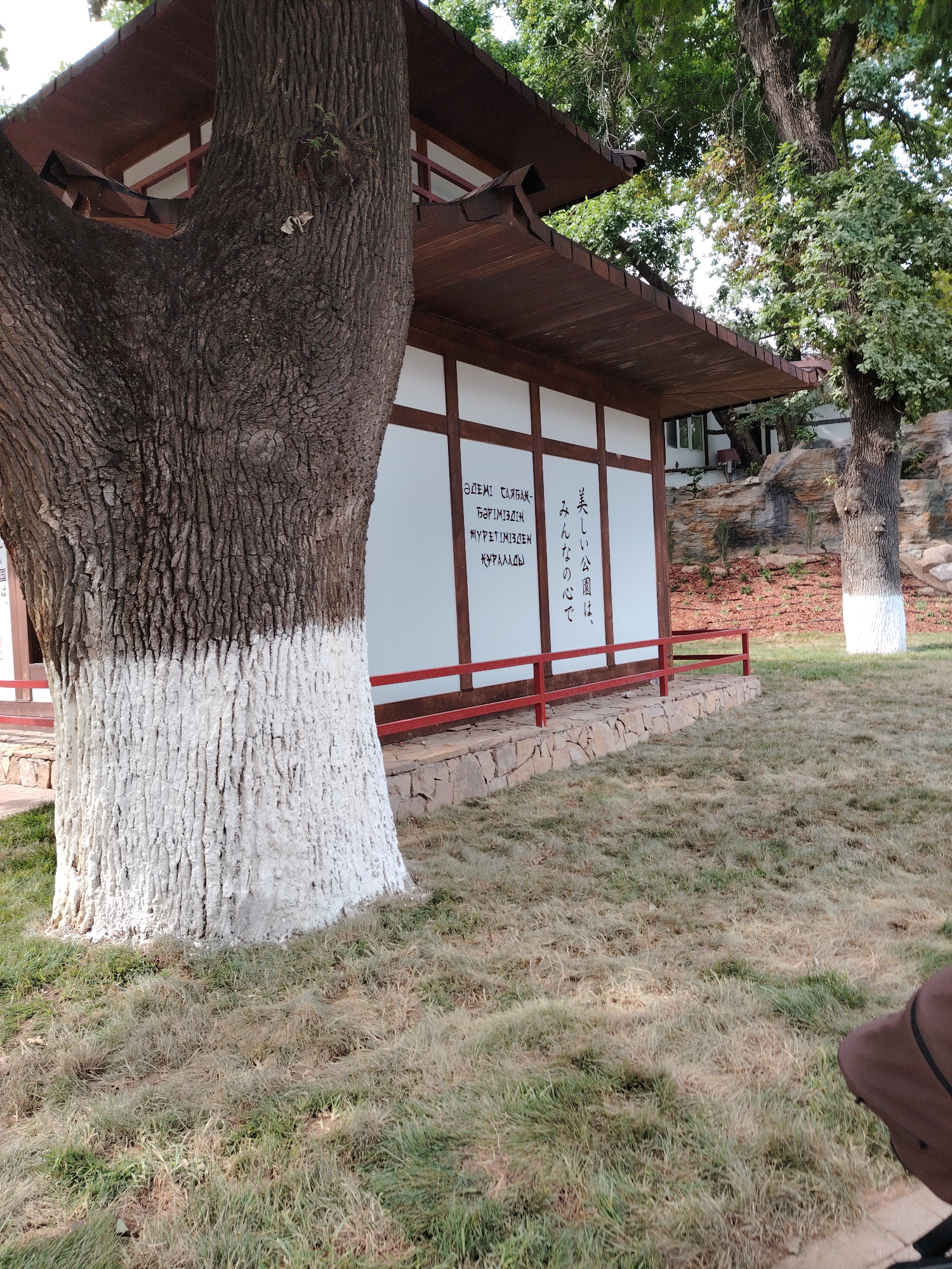 The image depicts an outdoor scene featuring a traditional Japanese-style building with a dark brown, sloped roof and white walls with wooden beams. The building is adorned with some calligraphy in what appears to be Japanese characters. In front of the building, there is a red railing supported by stone masonry. A large tree with rough, dark bark, partially painted white at its base, stands prominently in the foreground, obscuring a significant portion of the building. The ground is covered with dry, patchy grass, suggesting a possibly arid climate or season. In the background, more trees and a rocky outcrop are visible, with foliage indicating a natural setting. The lighting suggests it is daytime, with dappled sunlight falling on the grass. The scene evokes a sense of tranquility and cultural aesthetic.