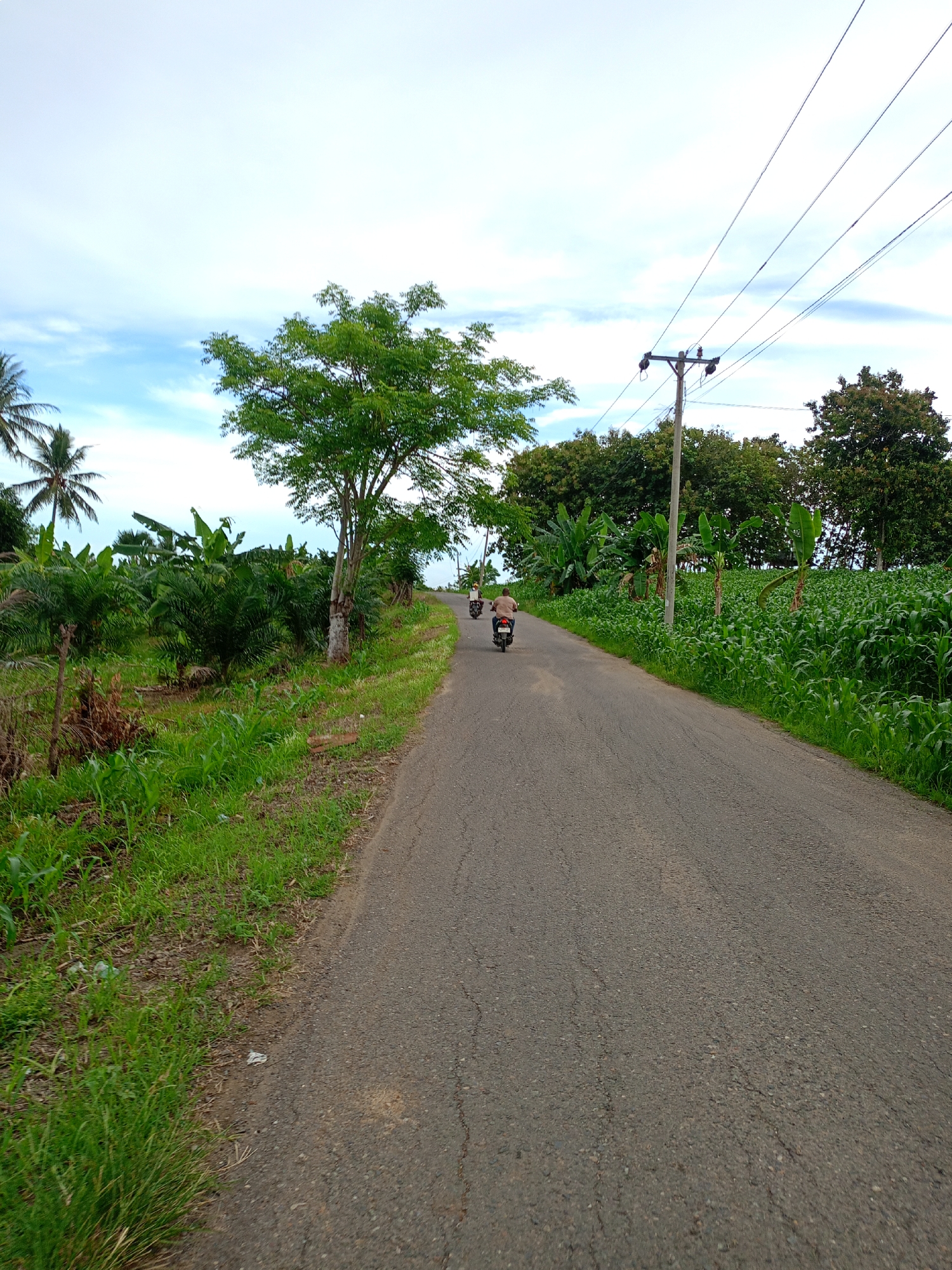 The image depicts a rural road in Cotjrat, Indonesia. The road is asphalt, displaying some cracking and wear. Two motorbikes are traveling in the same direction, with one closer to the camera than the other. The rider on the closer motorbike is wearing light-colored clothing.
Vegetation lines both sides of the road. On the left, there are palm trees and banana plants. On the right, there is a field of corn and more banana plants. A wooden utility pole with electrical wires is visible on the right.
The sky is overcast with a mix of blue patches and white clouds. A green tree stands prominently near the left side of the road.
