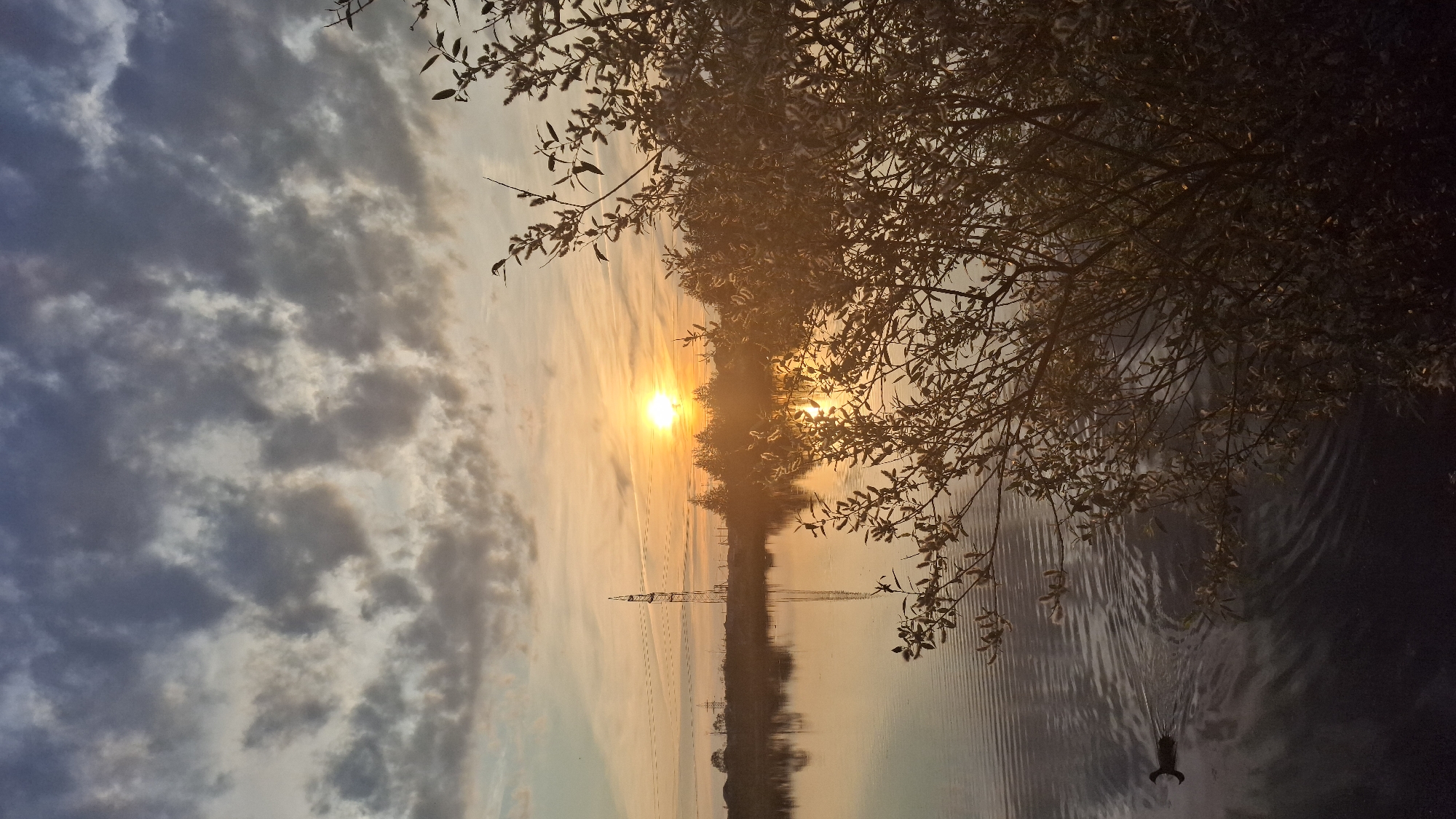 A vertical, eye-level shot captures a tranquil dawn over a lake near Innolovo, Russia. The sun, a bright orb with an orange glow, is low in the sky, casting a warm light that reflects on the calm water. Wispy clouds, tinged with grey and hints of pink, fill the sky. In the distance, a tall electrical pylon stands prominently, its structure silhouetted against the rising sun. A line of trees forms a dark silhouette along the far bank of the lake, their reflections shimmering on the water's surface. In the foreground, a solitary duck swims across the left side of the lake, leaving a gentle ripple in its wake. To the right, the branches of a tree, laden with developing buds, create a soft, natural frame for the scene, their leaves catching the golden light of the dawn. The overall impression is one of quiet natural beauty, with a touch of industrial presence in the form of the pylon.