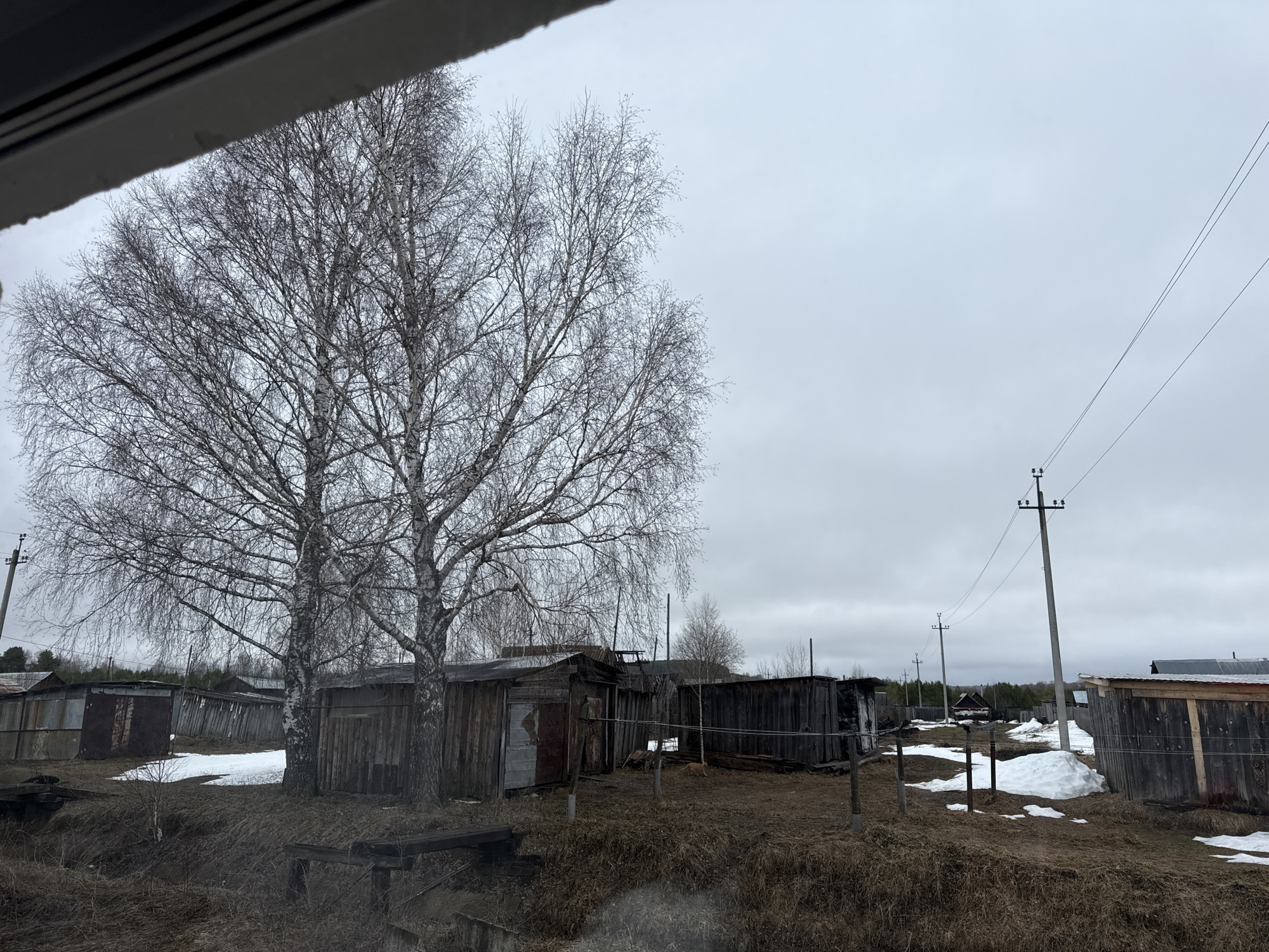 The image depicts a rural scene in Kauchuk Stantsiya, Russia. Several weathered, wooden outbuildings or sheds are scattered across the landscape. Two bare birch trees dominate the foreground, their branches reaching toward an overcast sky. Patches of melting snow dot the ground, suggesting early spring. Power lines and poles are visible in the background, further indicating a settled area. No people are visible. The scene is viewed from an elevated position, possibly from inside a vehicle or building.