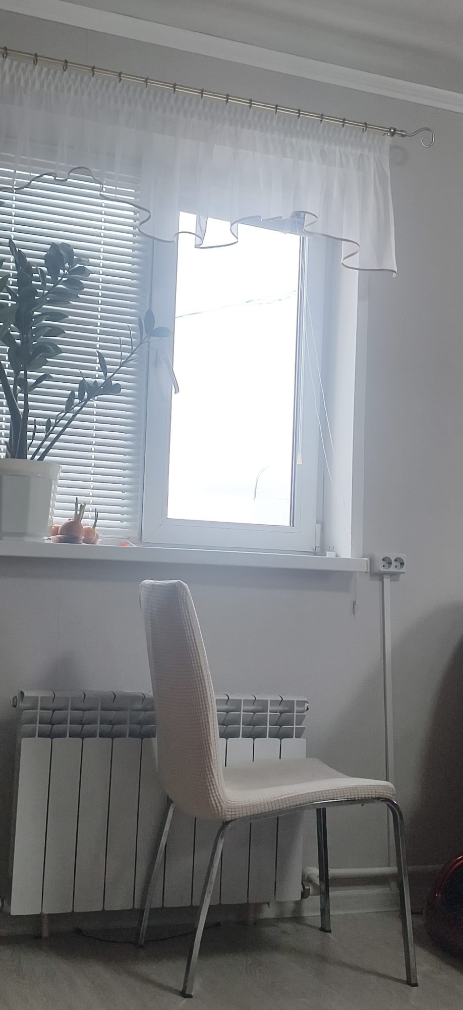 The image shows a room interior, likely in a residential setting. A window is visible, covered with blinds and a sheer white curtain. A potted plant sits on the windowsill, alongside some sprouted onions. Below the window, a radiator is present, and in front of it is a chair with a light-colored seat covering. The walls are painted in a light shade. An electrical outlet with two sockets is mounted high on the wall beside the window. Part of a dark object appears in the lower right corner. There is no evidence to confirm the location as the city of Фоки, Russia.