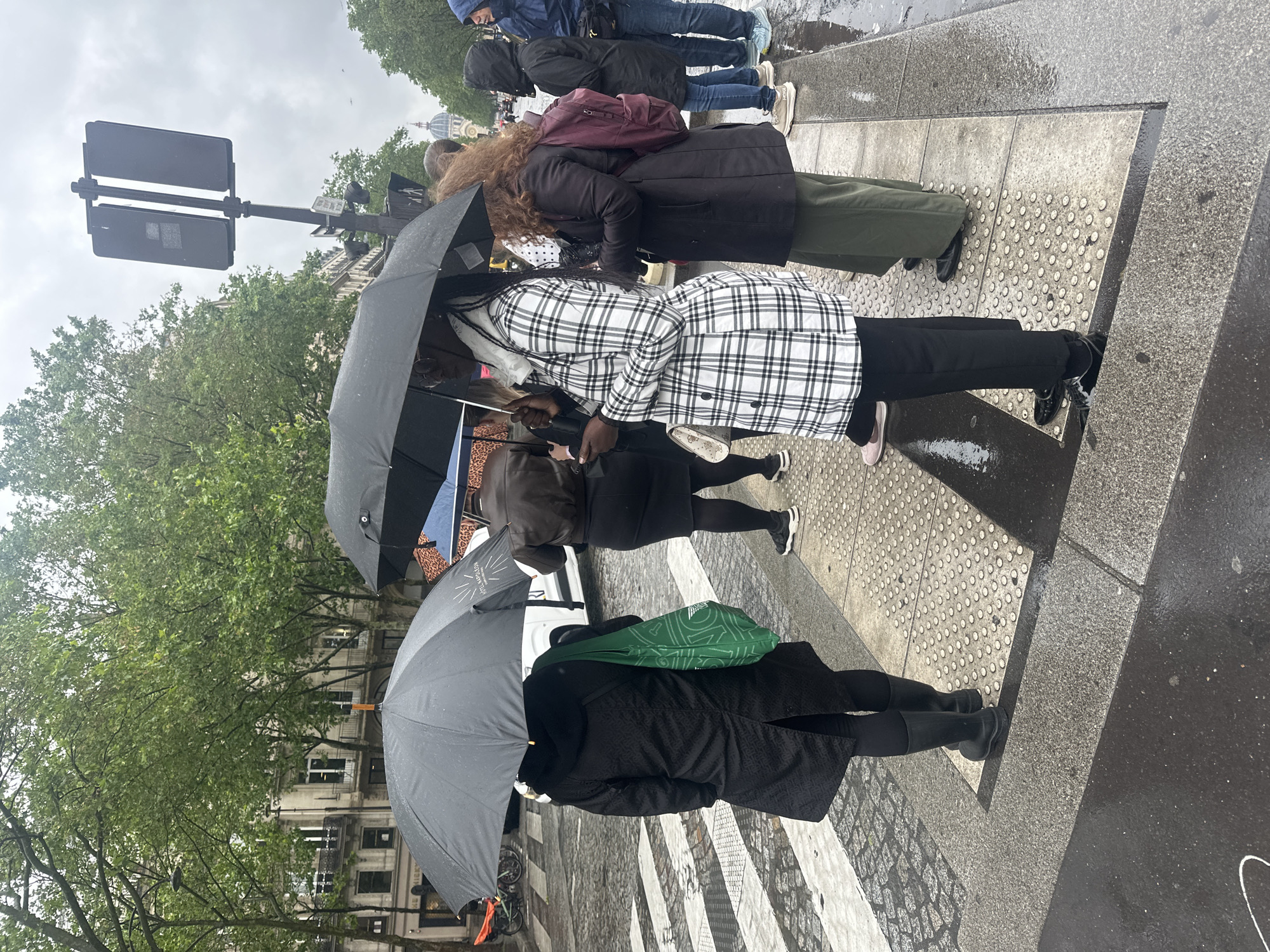 On a rainy day in Paris, France, a group of people stand on a crosswalk waiting to cross the street. They are all holding umbrellas to shield themselves from the rain. The crosswalk is made of white stripes. The street is wet and shiny. A traffic light pole stands to the left of the people. The people are dressed in coats. Buildings and trees can be seen in the background.