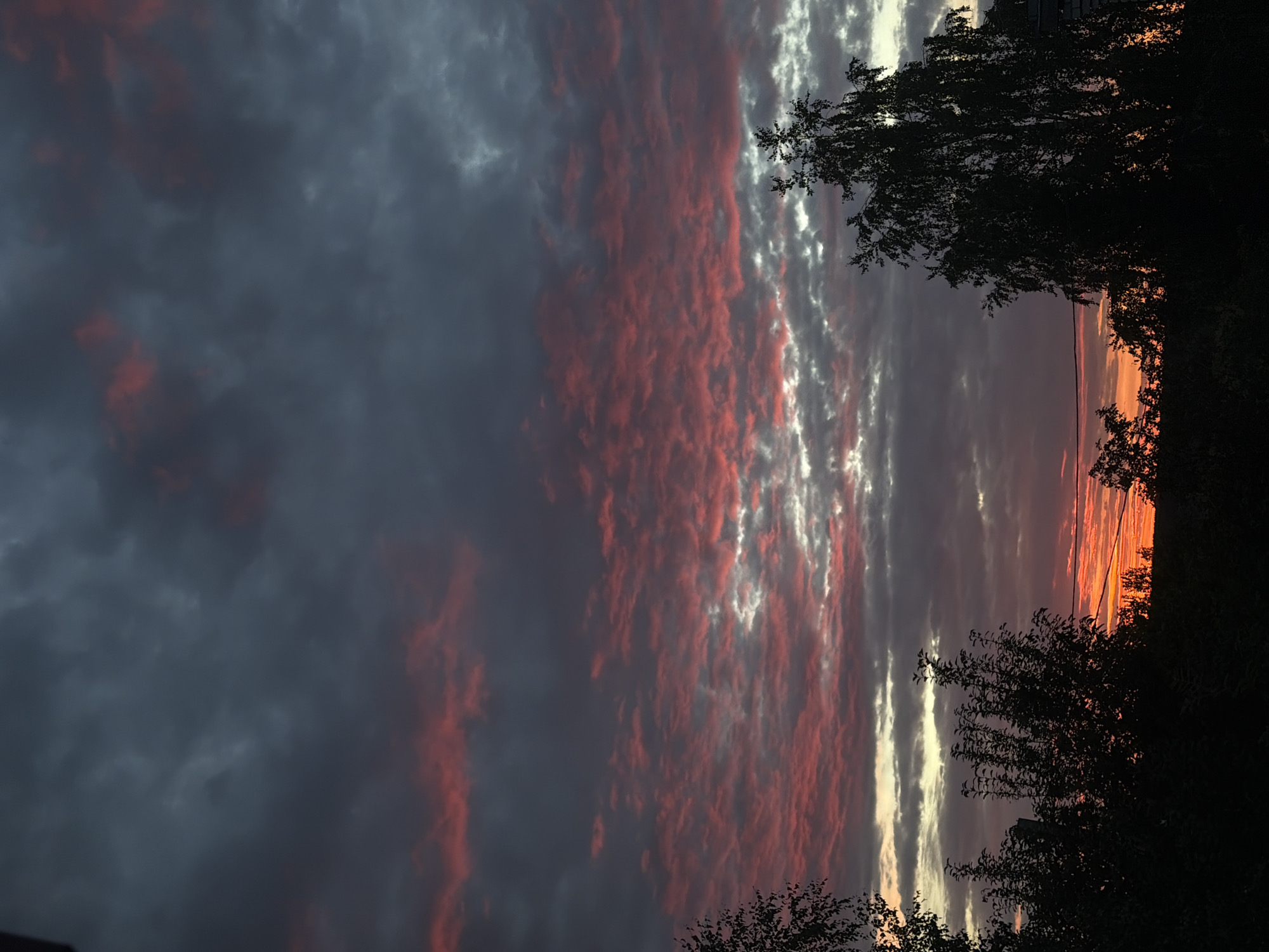 The image depicts a cloudy sky during sunset. The clouds are a mix of dark grays and purples, with streaks of vibrant pink and orange. Silhouetted against the sky are the tops of several trees and what appears to be the edge of a building or structure on the far right. The overall impression is one of twilight or dusk. There are no people or any discernible actions or interactions visible in the image. The location is given as Leninsk-Kuznetskiy, Russia.