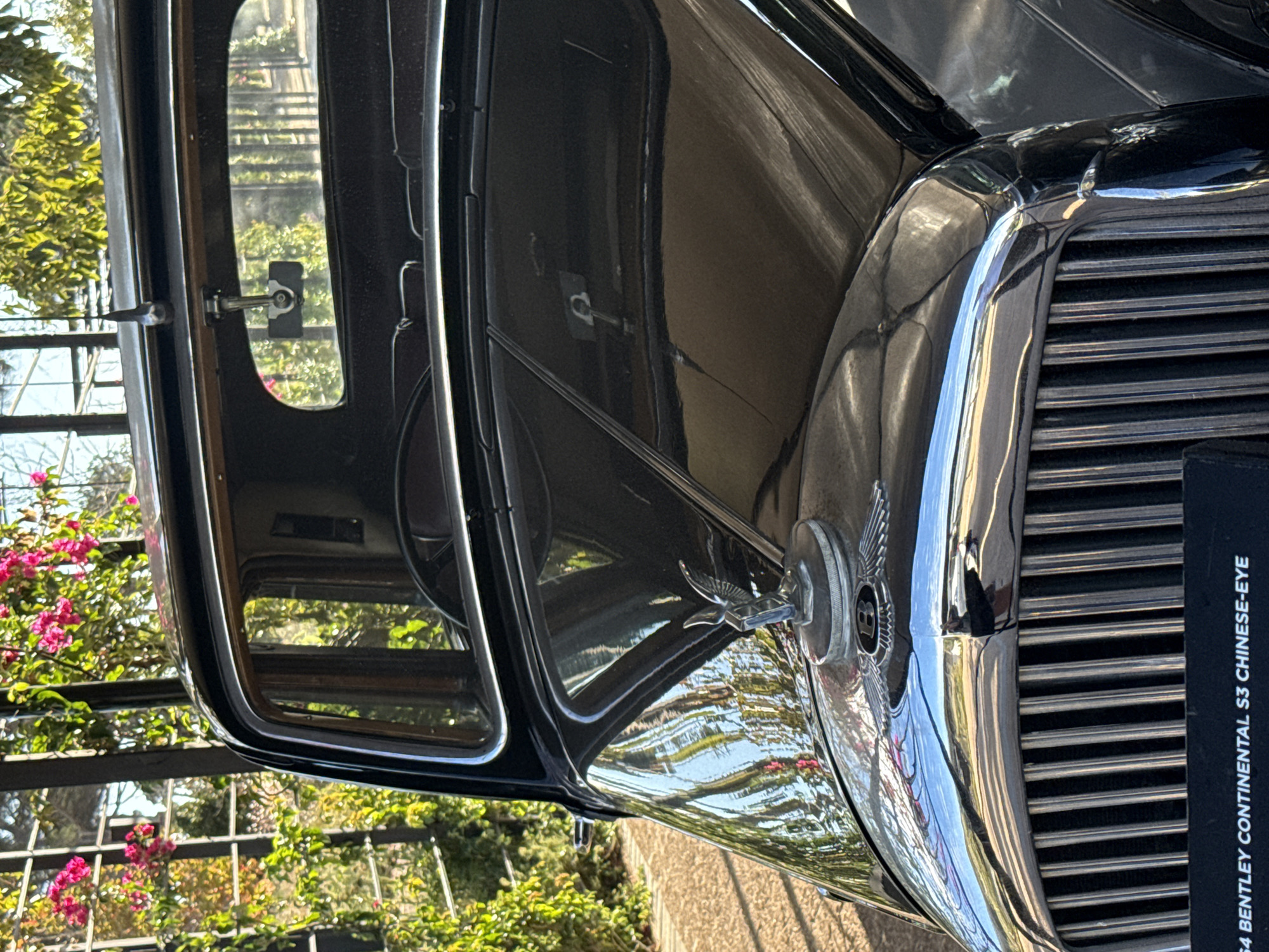The image shows the front quarter of a black 1964 Bentley Continental S3 Chinese-Eye automobile, with a chrome grill and the Bentley emblem visible. Reflections of trees and sky are prominent on the polished surfaces. The car is positioned in front of a backdrop of lush green vegetation, including flowering bougainvillea climbing on a metal trellis. Text visible on a placard beside the grill identifies the make and model. No people are visible. The location is potentially Stellenbosch Nu, South Africa.