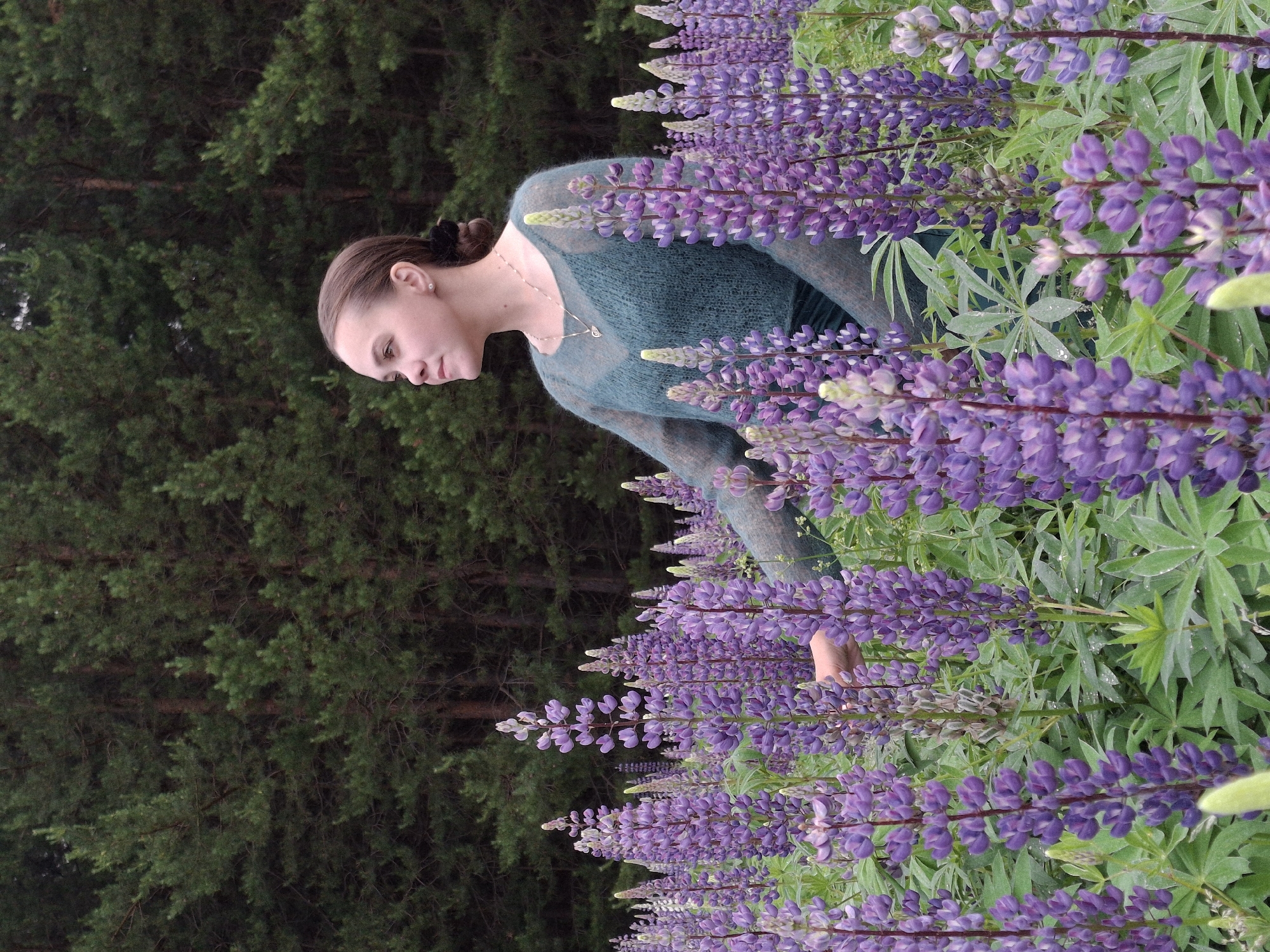 A young woman with brown hair pulled back stands in a field of purple lupine flowers. She is wearing a translucent teal sweater over a darker teal garment. The woman is looking to her left, with her head slightly tilted. Behind her, a dense forest of green pine trees stretches across the background. The image appears to have been taken outdoors on a cloudy day, possibly in Chaikovsky, Russia, given the presence of lupine fields common in the region.